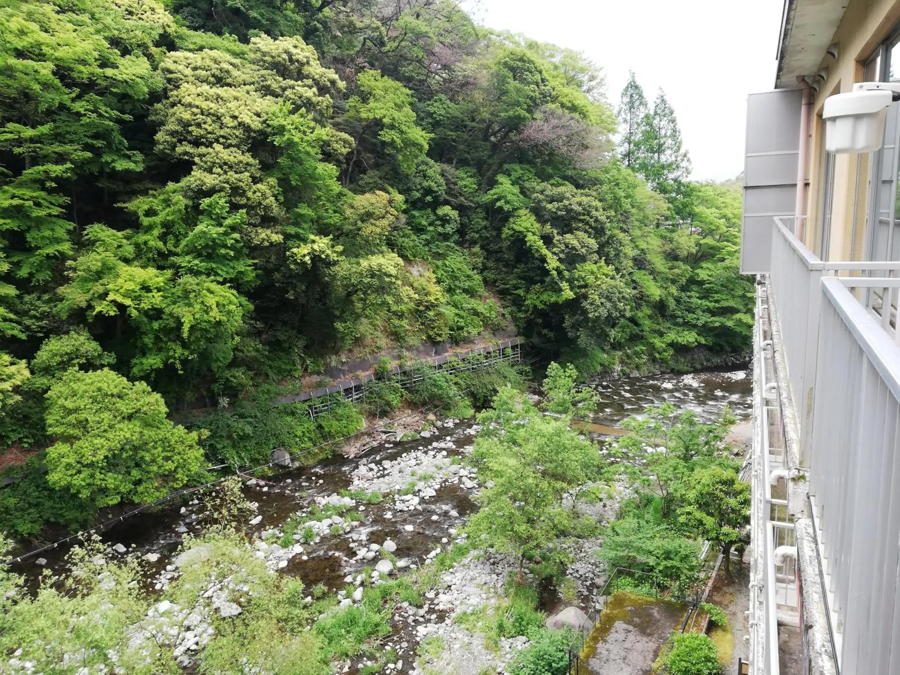 View (from property/room) in Hakone Pax Yoshino View (from property/room) in Hakone Pax Yoshino