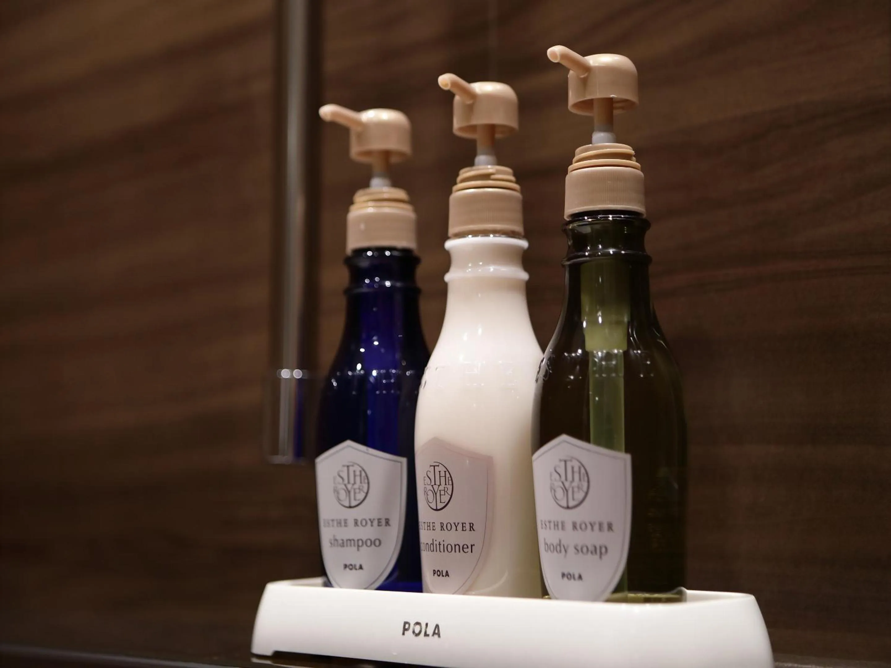 Hot Spring Bath in Hakone Pax Yoshino