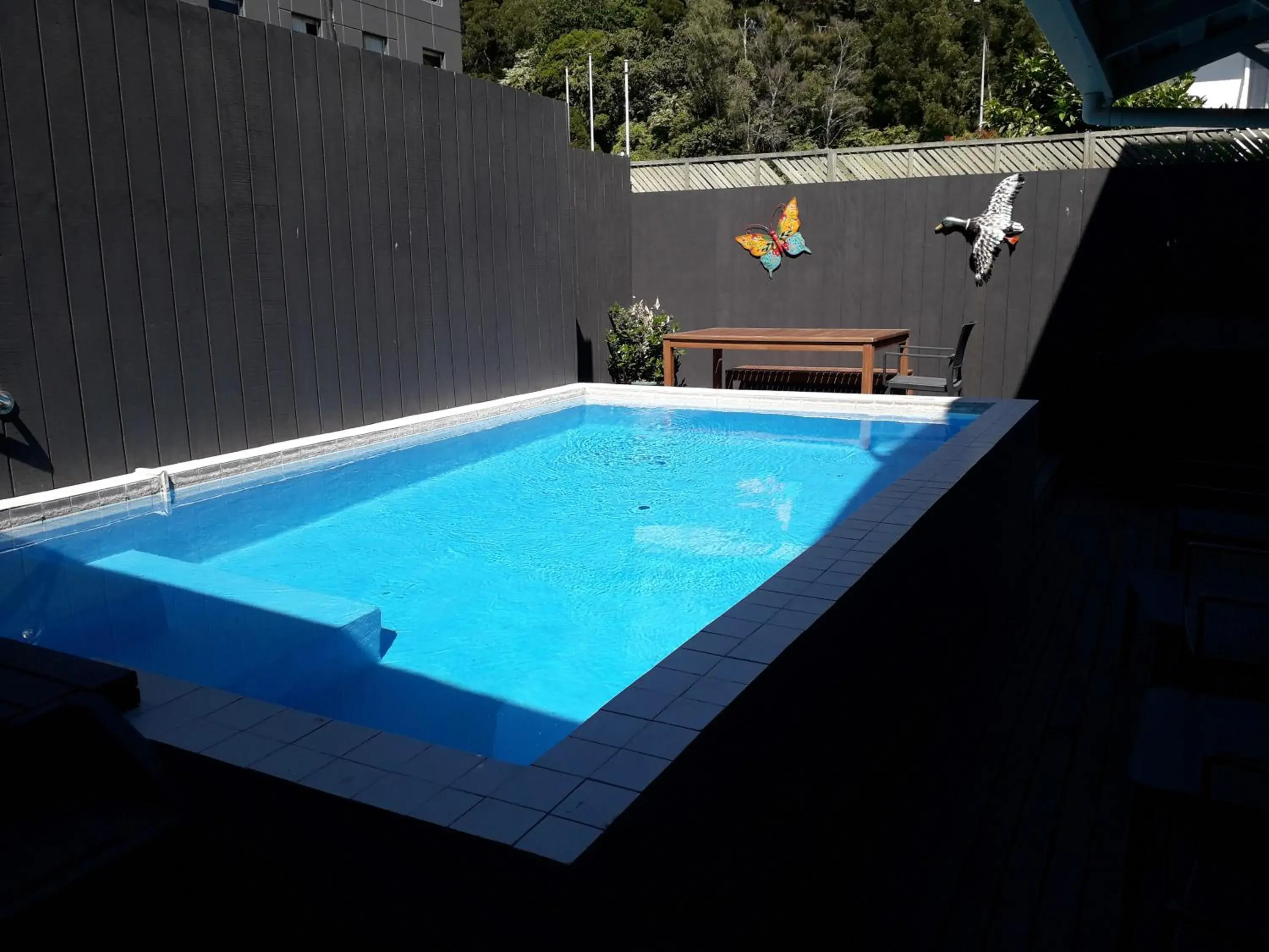 Pool view, Swimming Pool in Lake Lodge Motel Rotorua