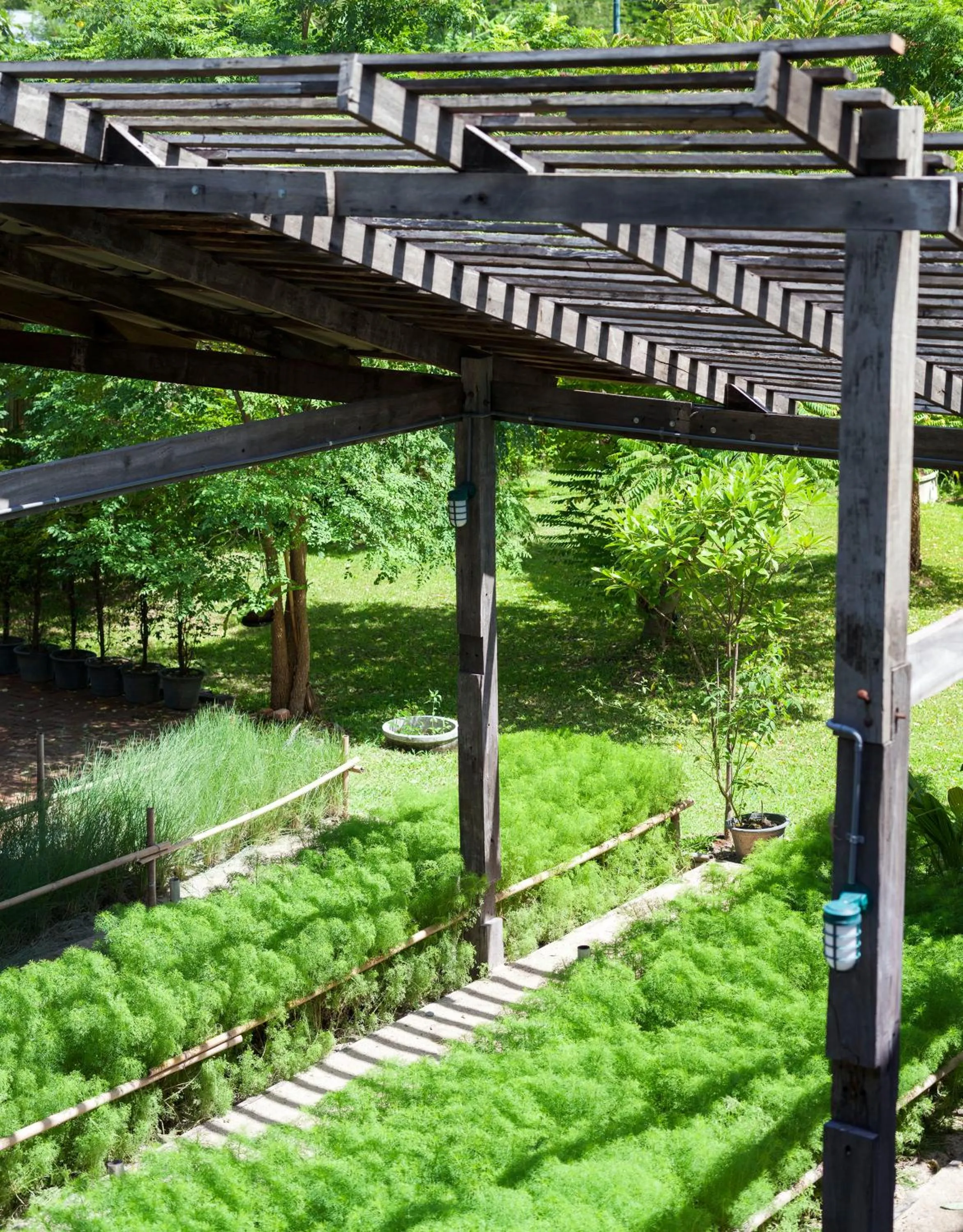 Garden in Krodyle Mindfulness House