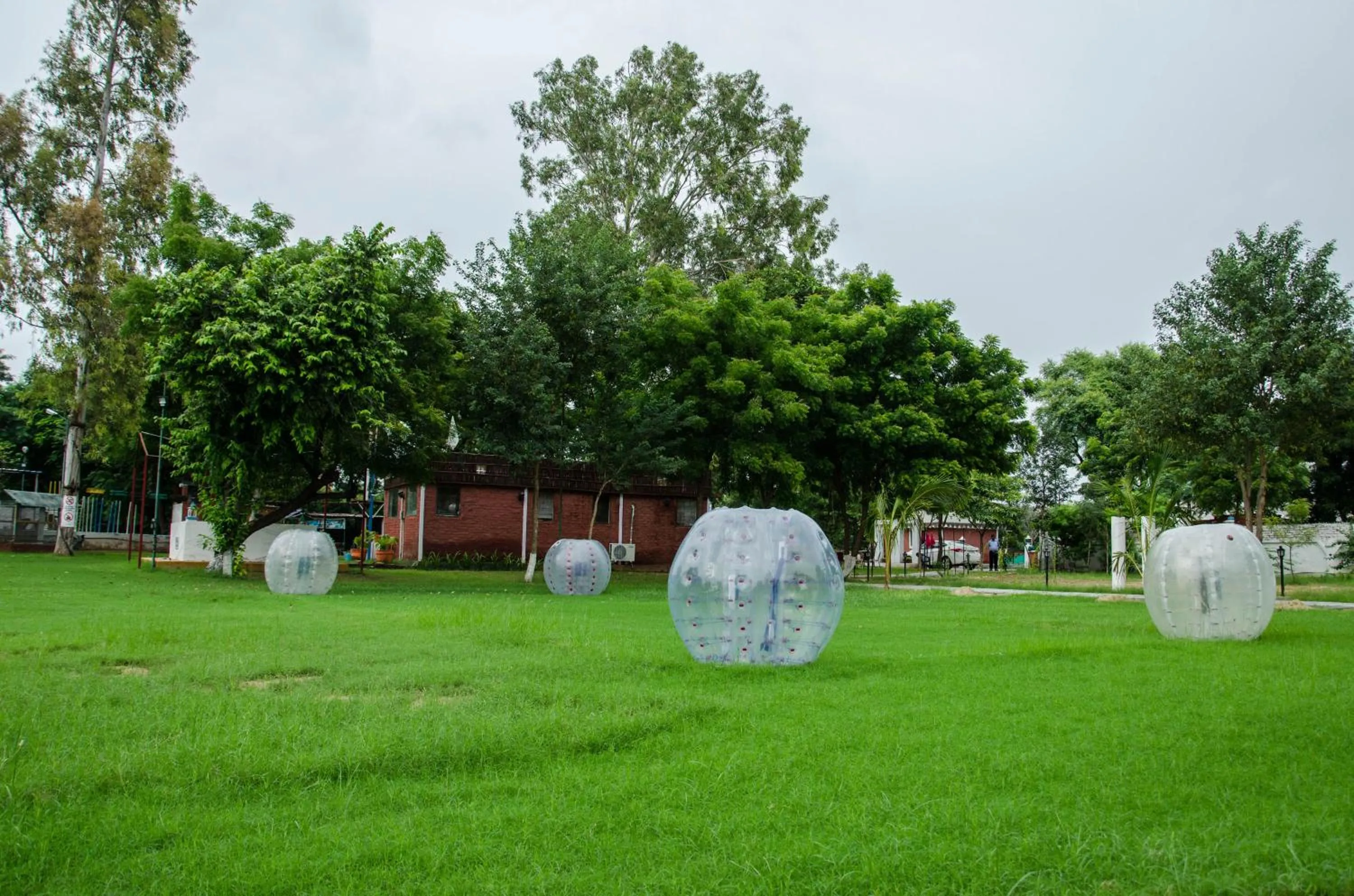 Garden in The timber garden adventure club