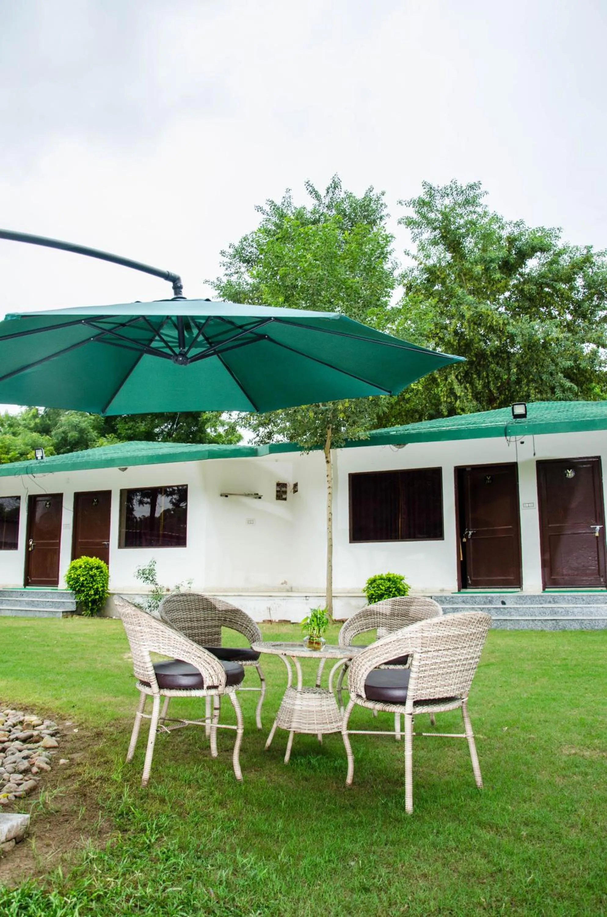 Garden in The timber garden adventure club