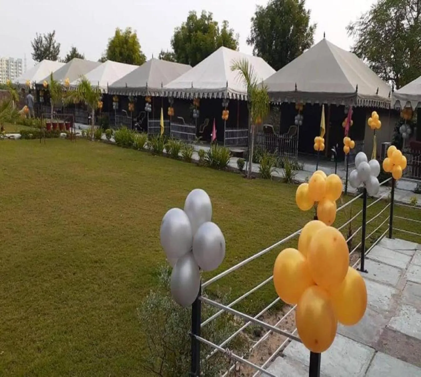 Garden in The timber garden adventure club