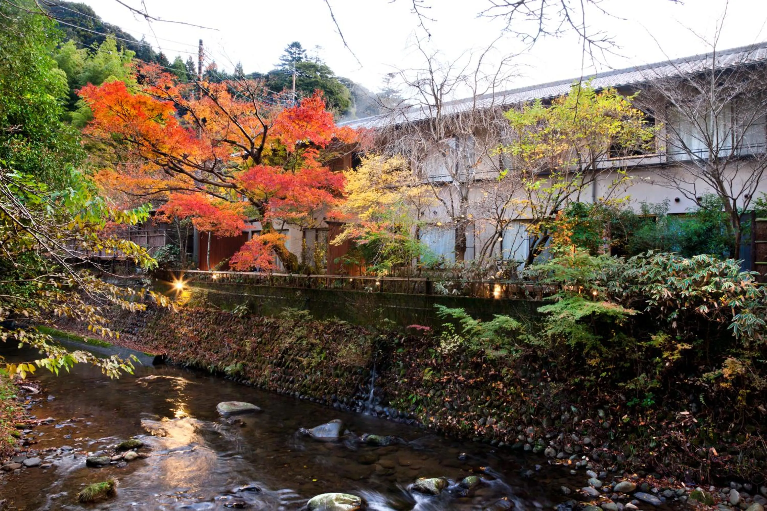 Natural landscape in Tofuya Resort&Spa-Izu