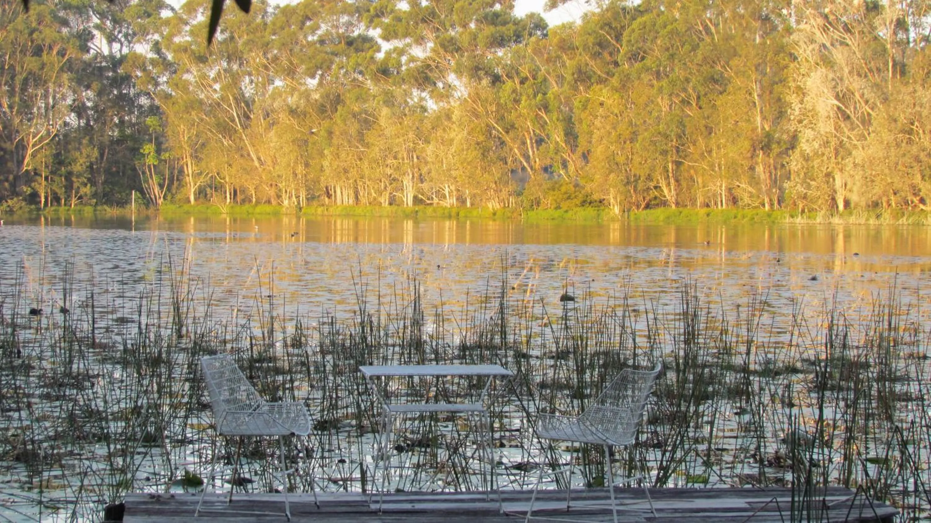 Lake Russell Retreat