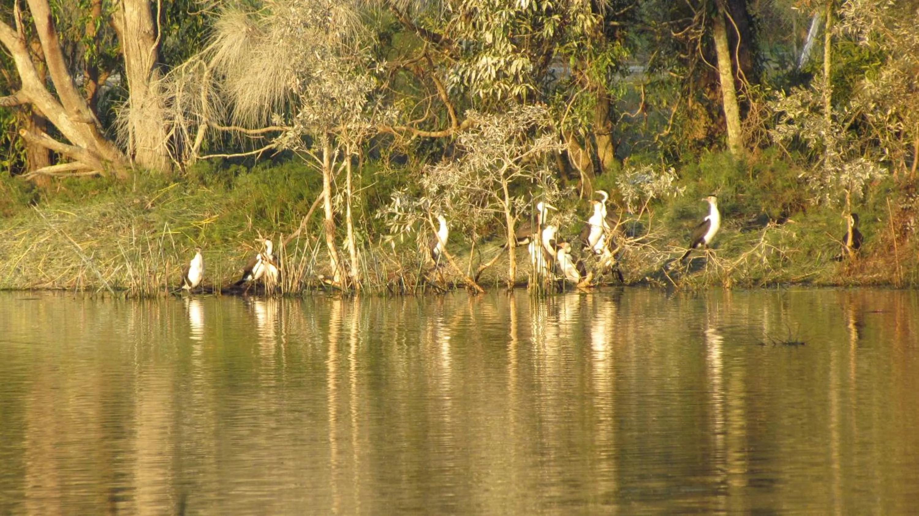 Lake Russell Retreat
