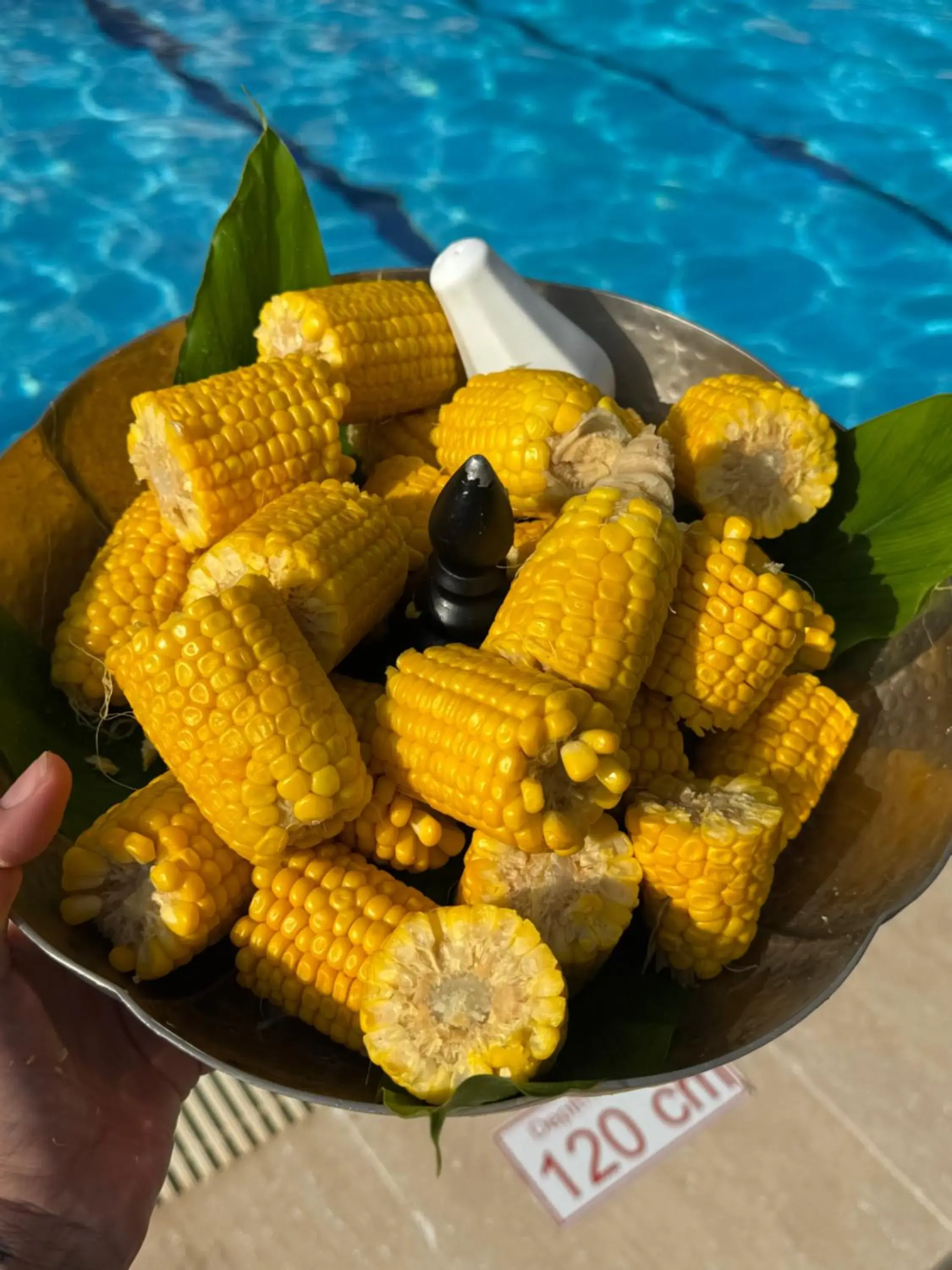 Swimming pool in True Blue Boutique Hotel Kalkan Swimming pool in True Blue Boutique Hotel Kalkan