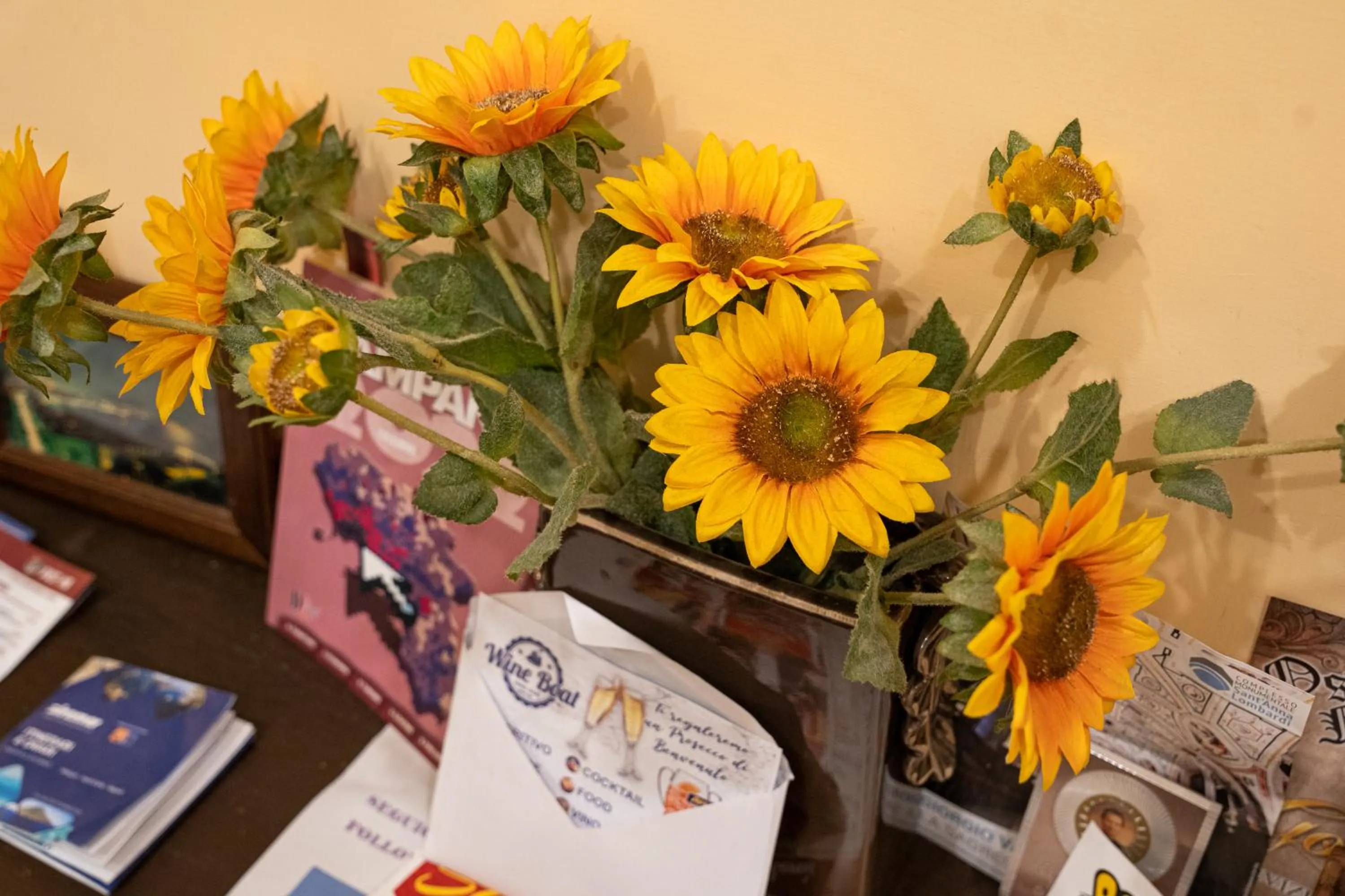 Entertainment in Monteoliveto Bed & Breakfast