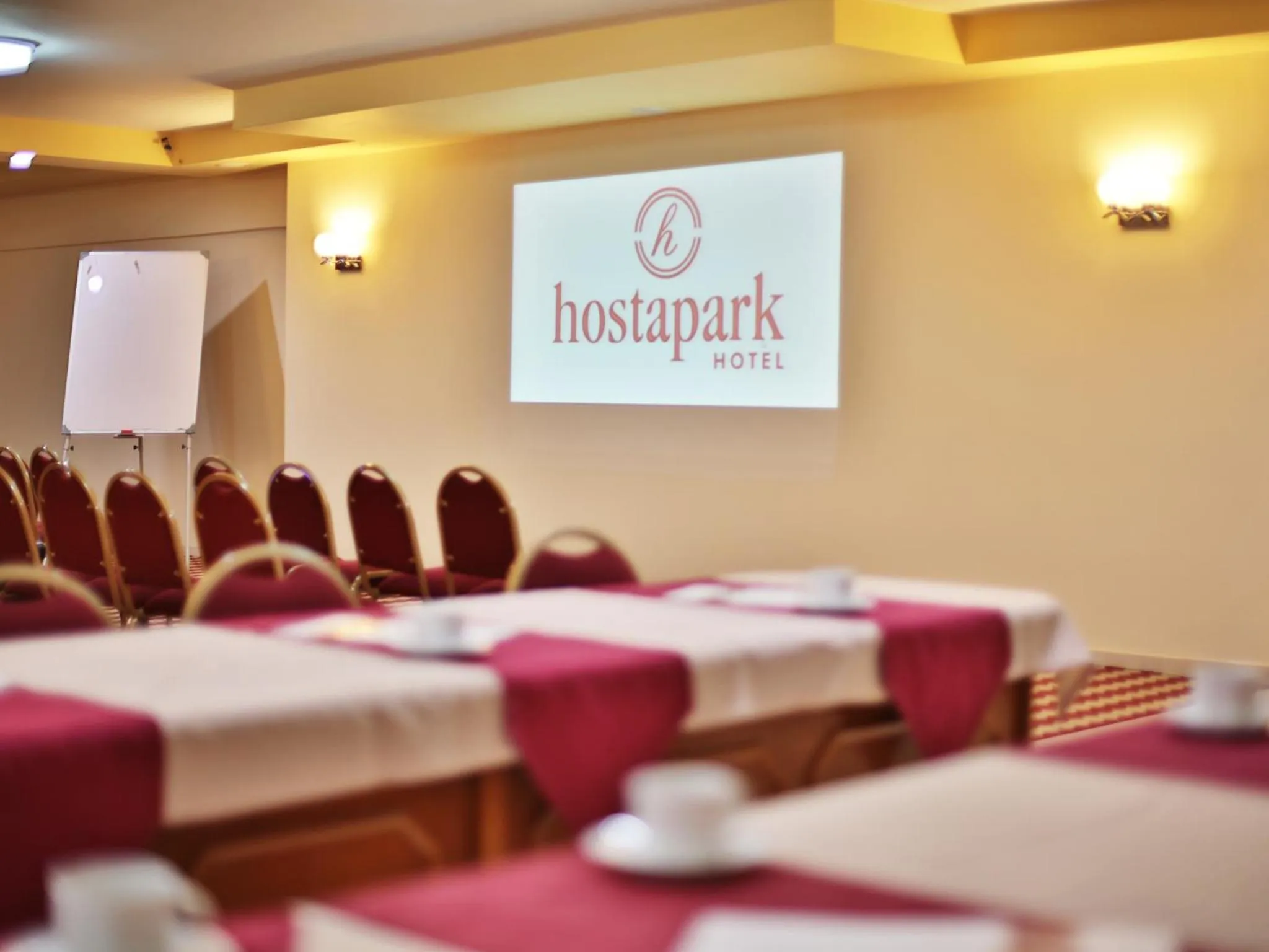Meeting/conference room in Hostapark Hotel