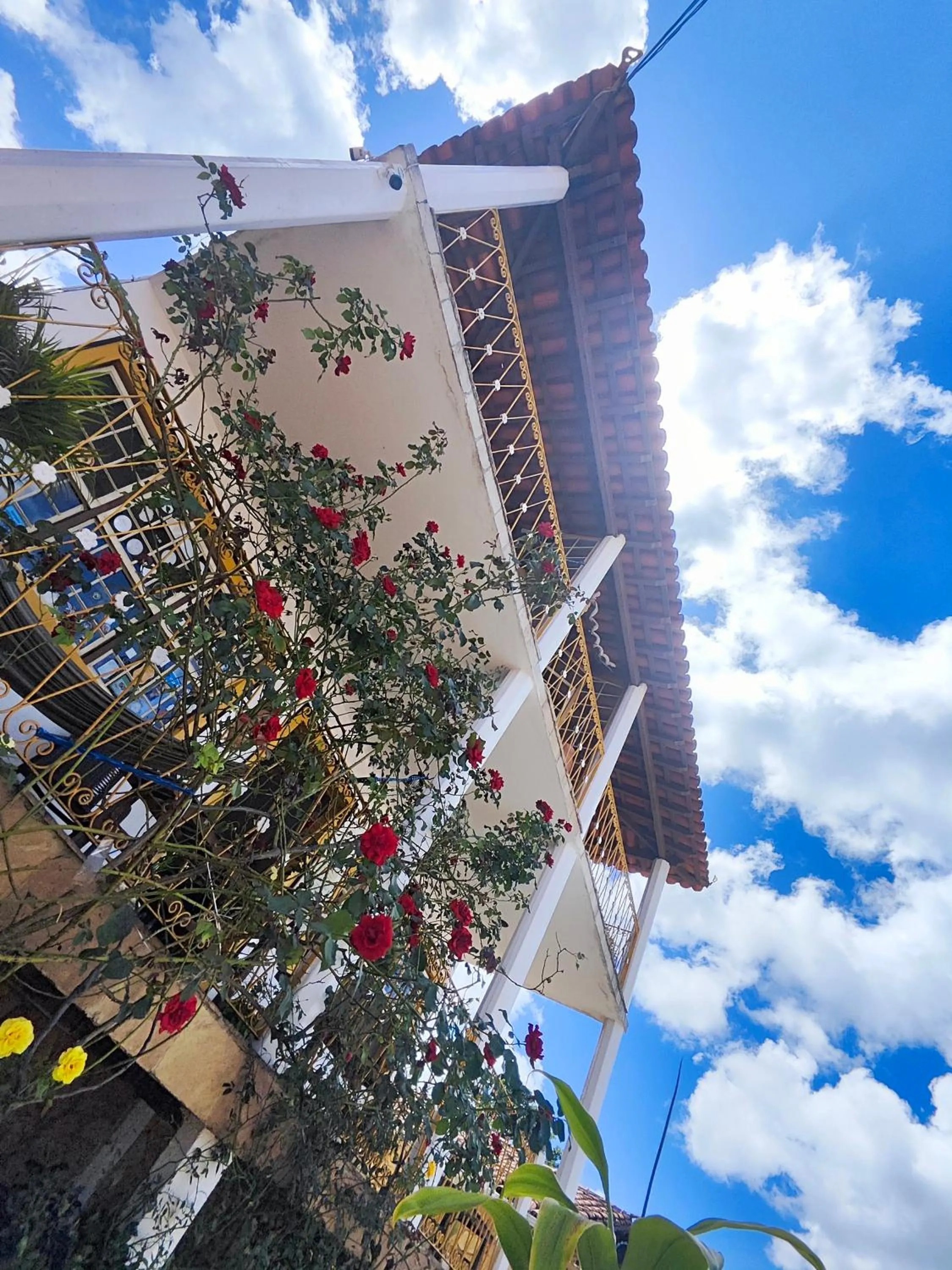 Hotel Montanhas de Minas