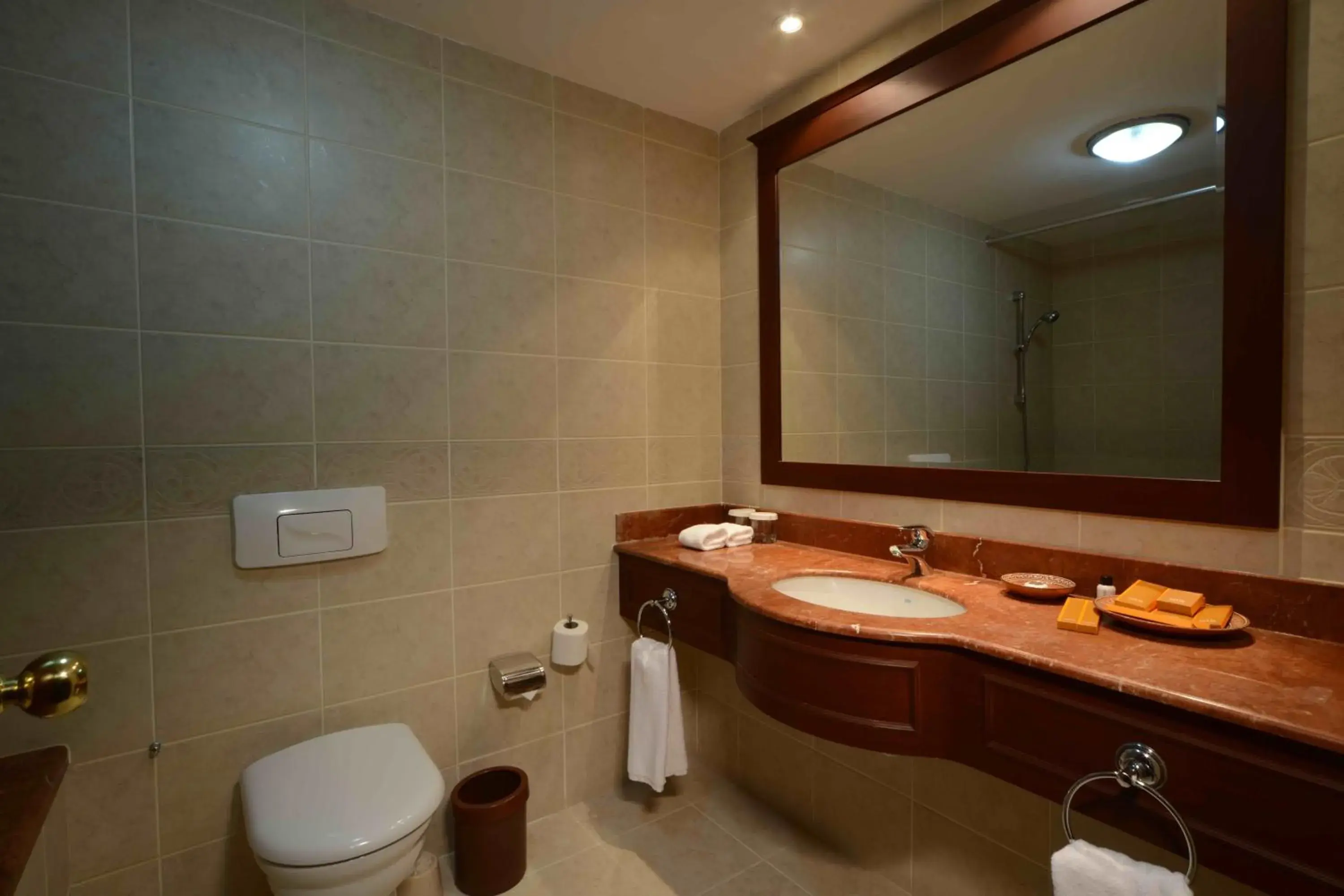 Property building in LOTTE City Hotels Tashkent Palace Property building in LOTTE City Hotels Tashkent Palace
