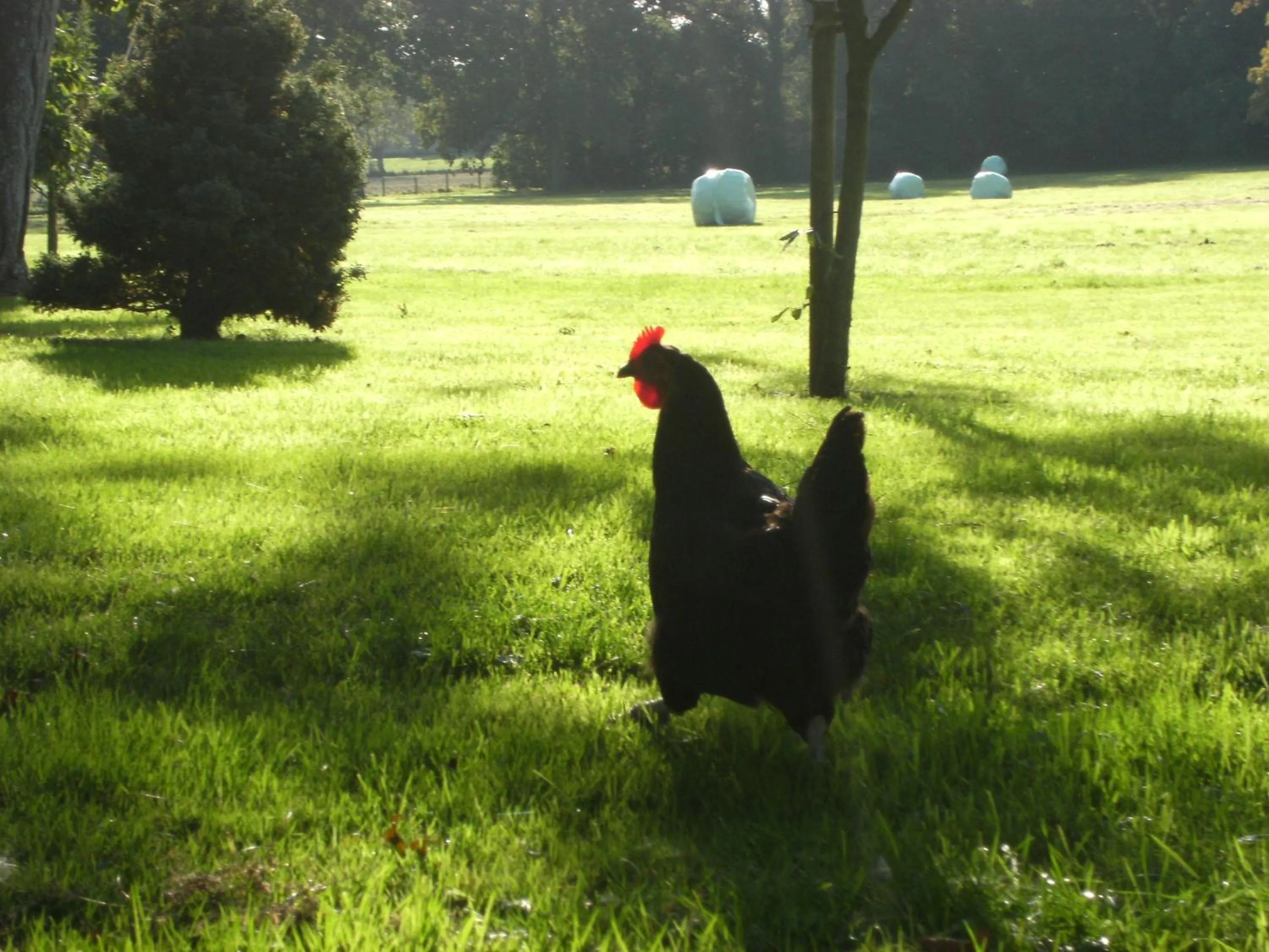 Day in Éco-domaine Gîtes et Spa - Mer, Nature & Confort - Côte d'Opale