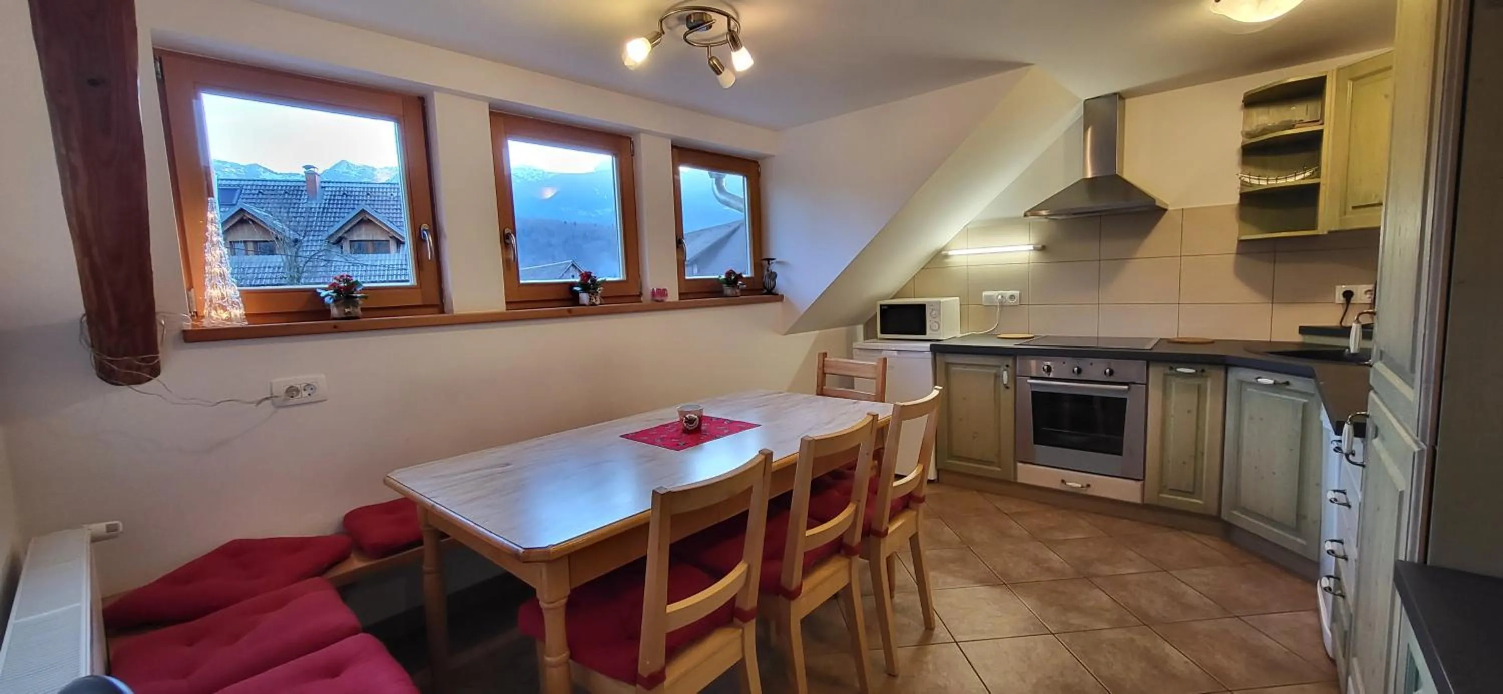 Kitchen or kitchenette in Apartments & Hostel Bohinj