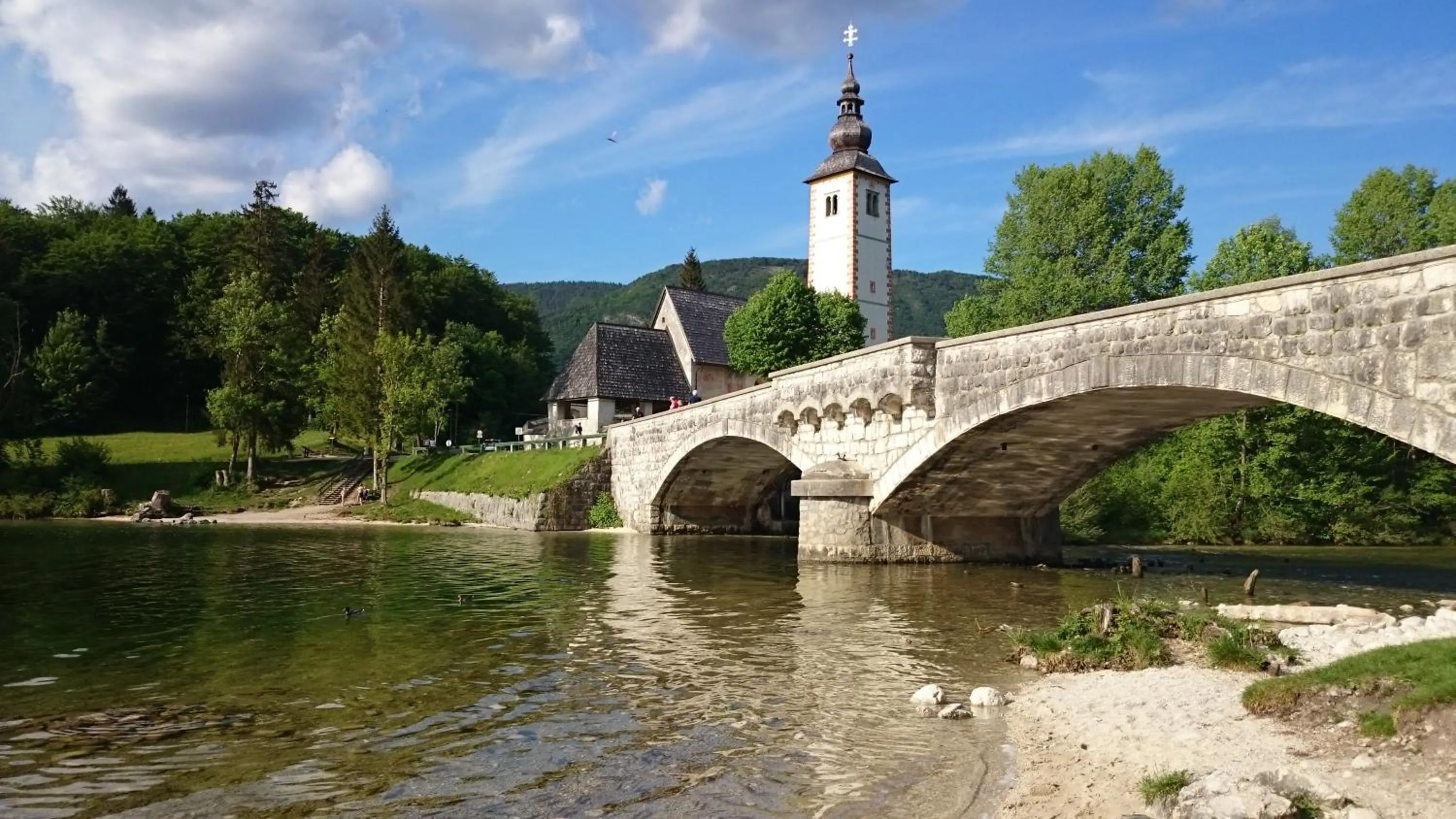Natural landscape in Apartments & Hostel Bohinj