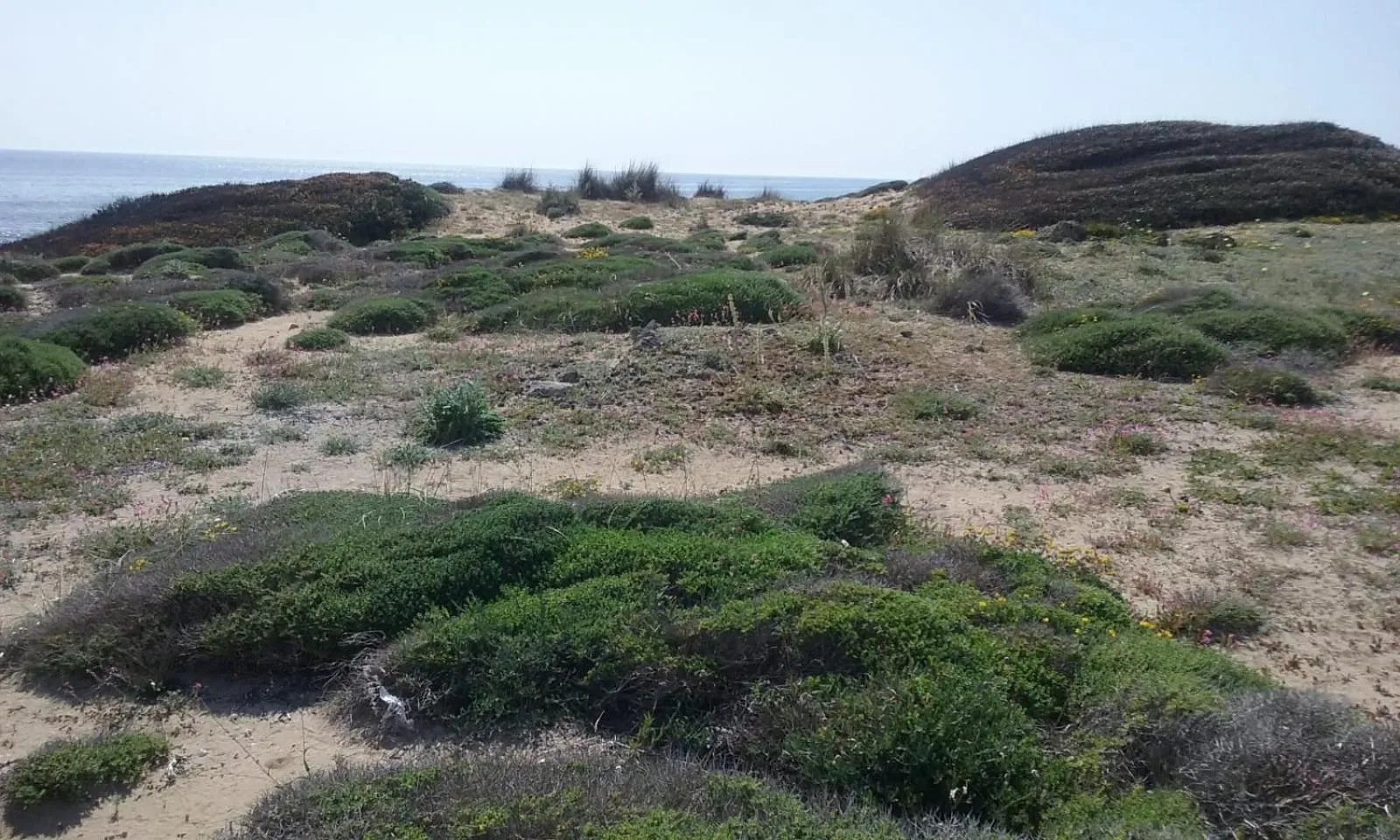 Property building in B&B Letizia