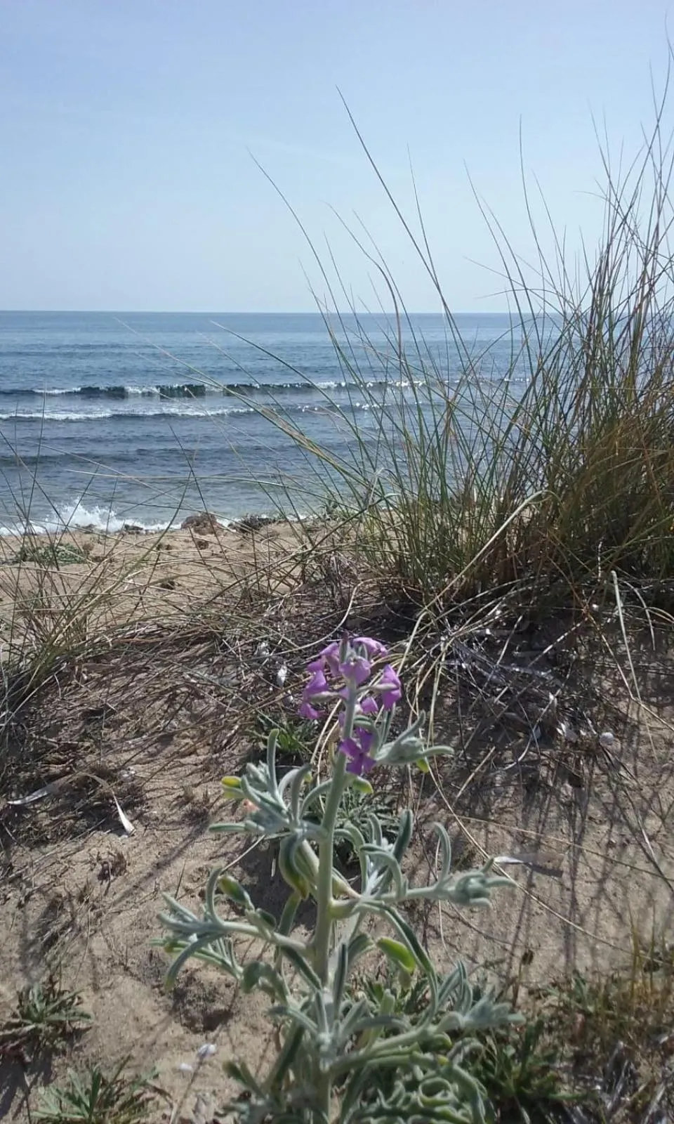 Property building in B&B Letizia