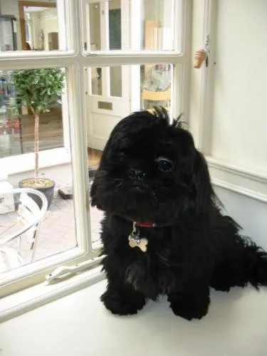 View (from property/room) in Crown Hotel