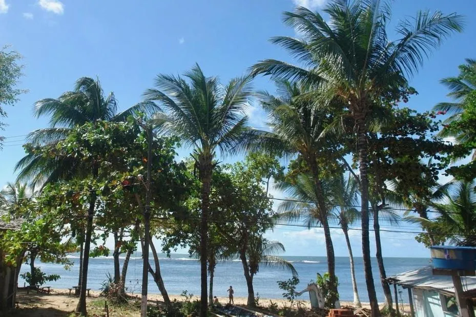 Sea view in Concha Tropical Flat