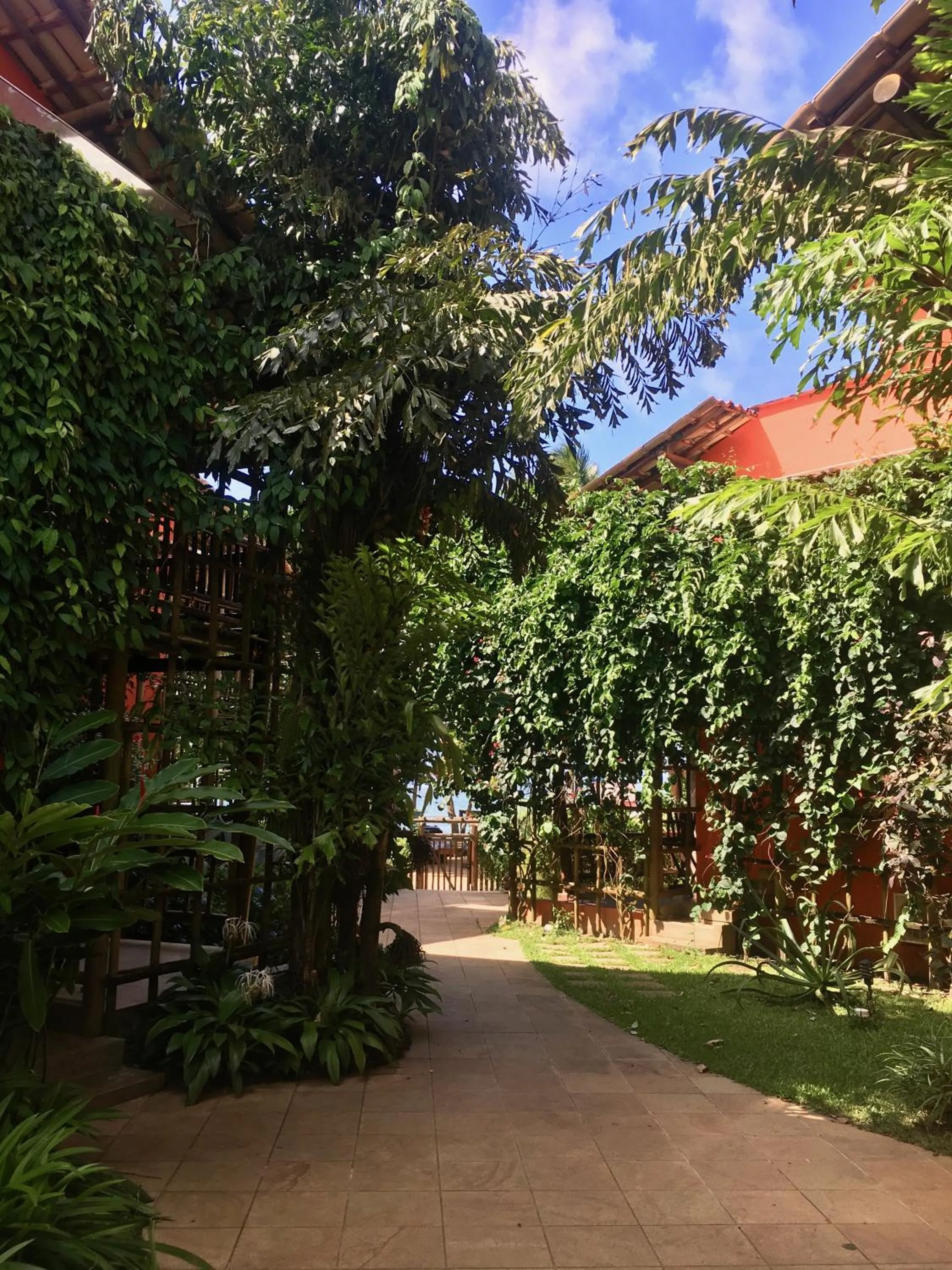 Garden in Concha Tropical Flat