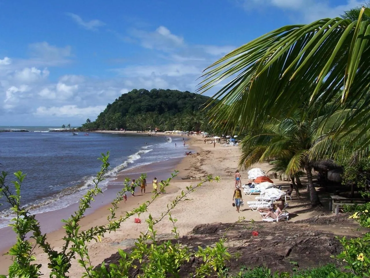 Restaurant/places to eat in Concha Tropical Flat