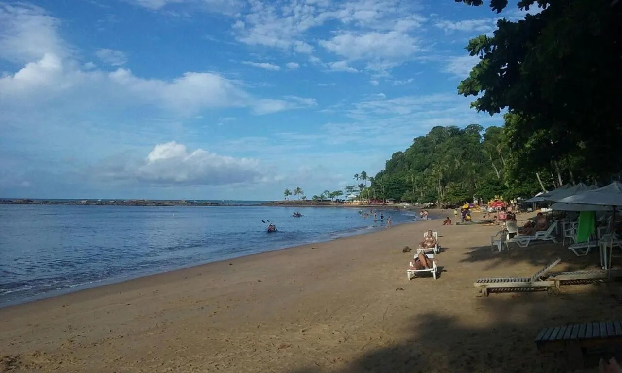 Beach in Concha Tropical Flat