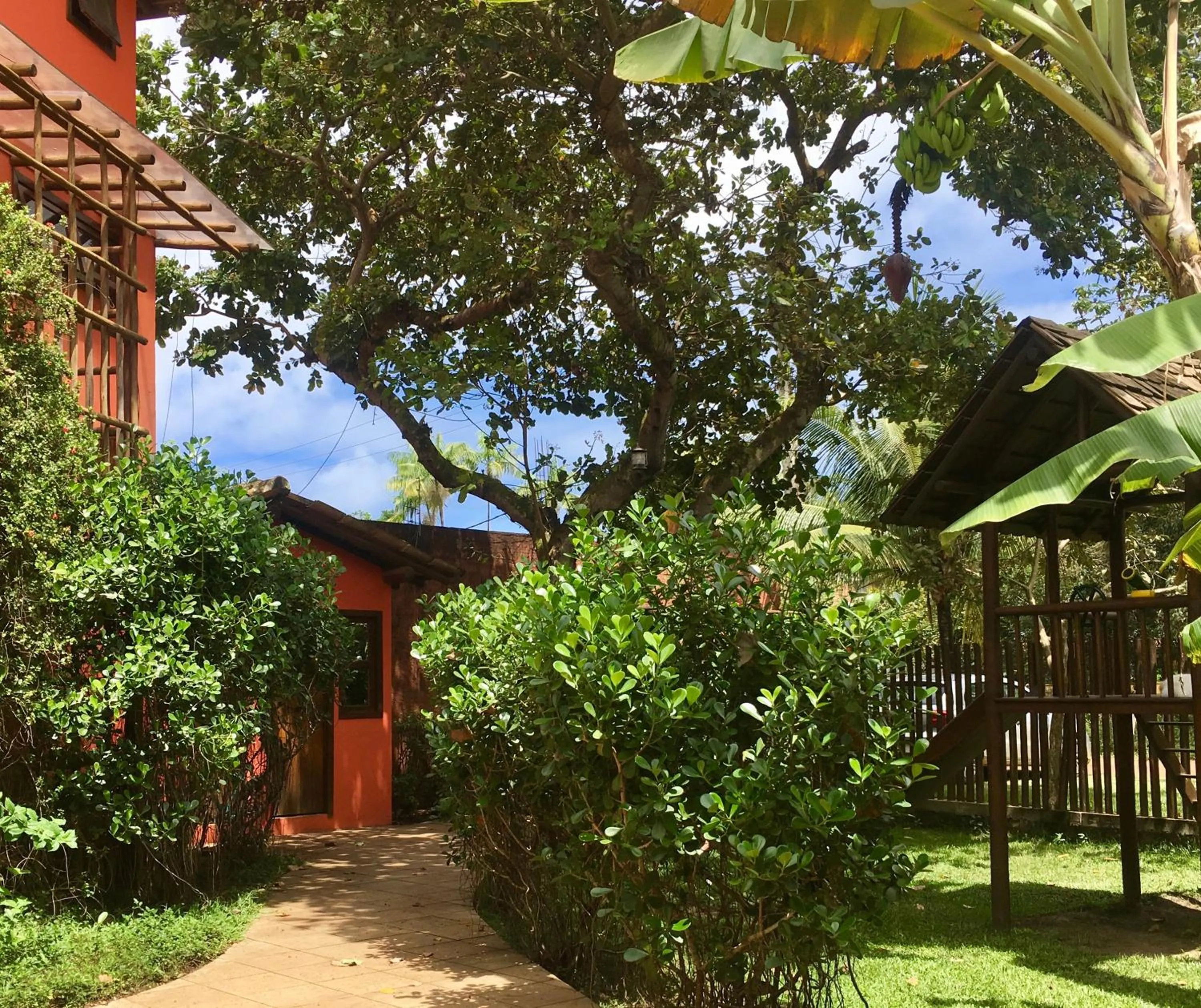 Garden in Concha Tropical Flat