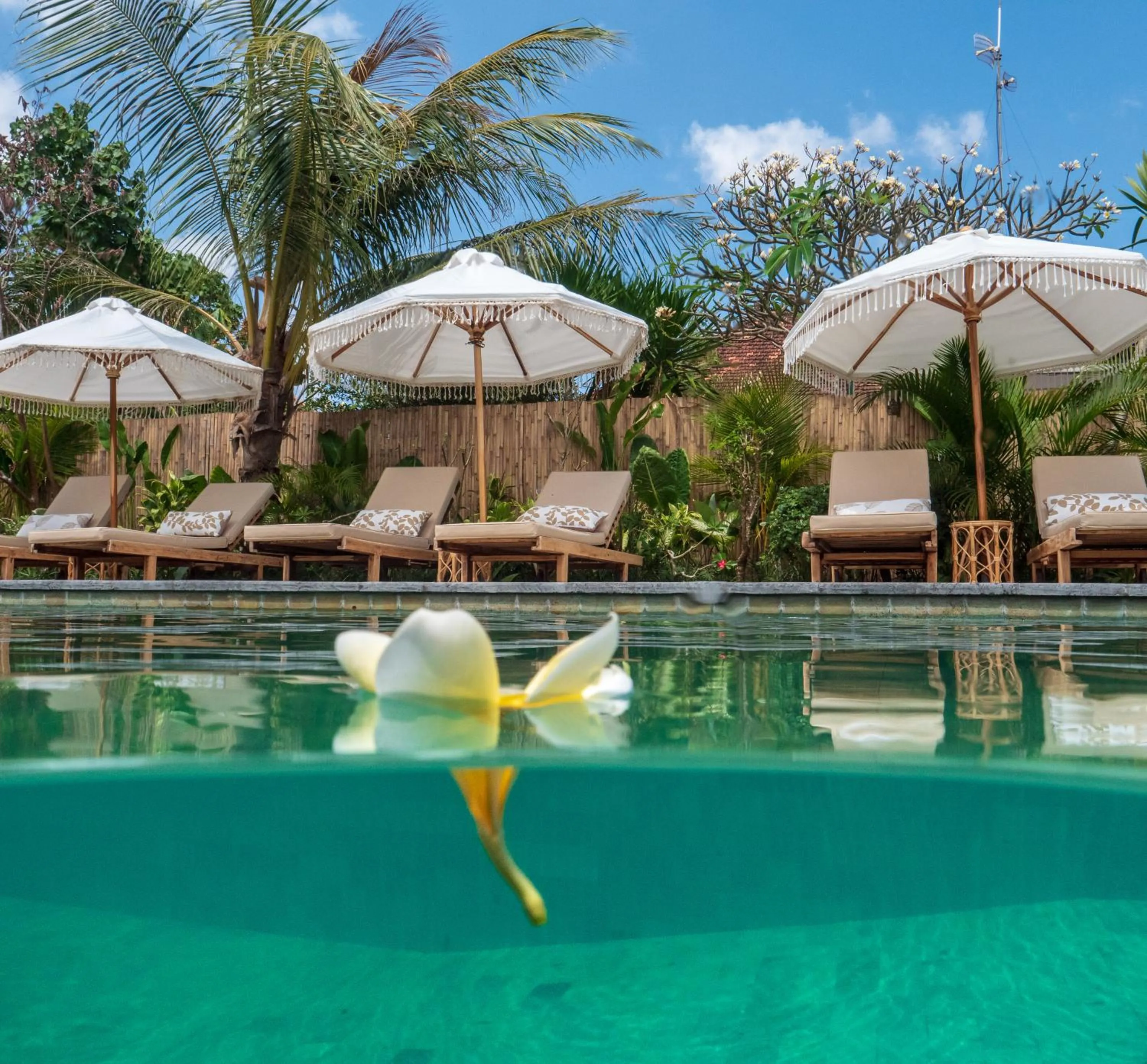 Property building in The Inn Possible