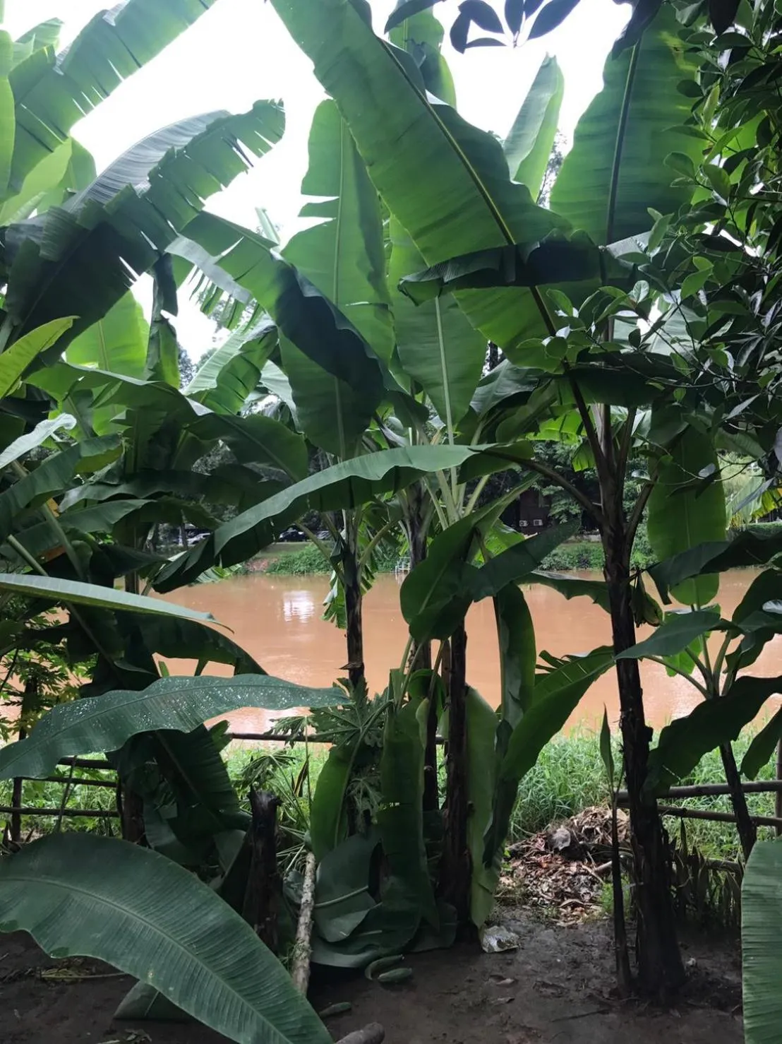 Property building in Kawila126