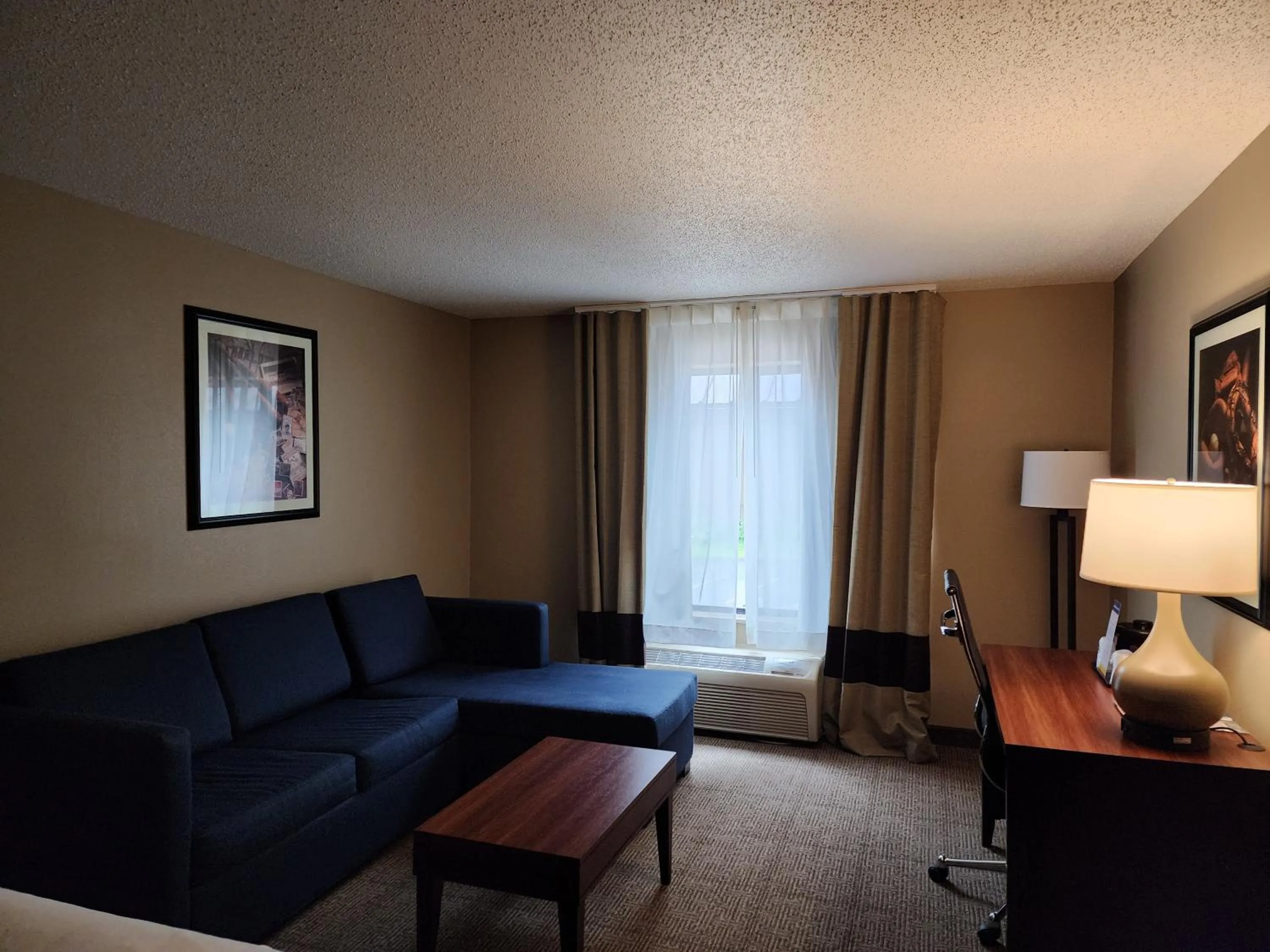 Seating area in Comfort Inn & Suites Cooperstown - Milford