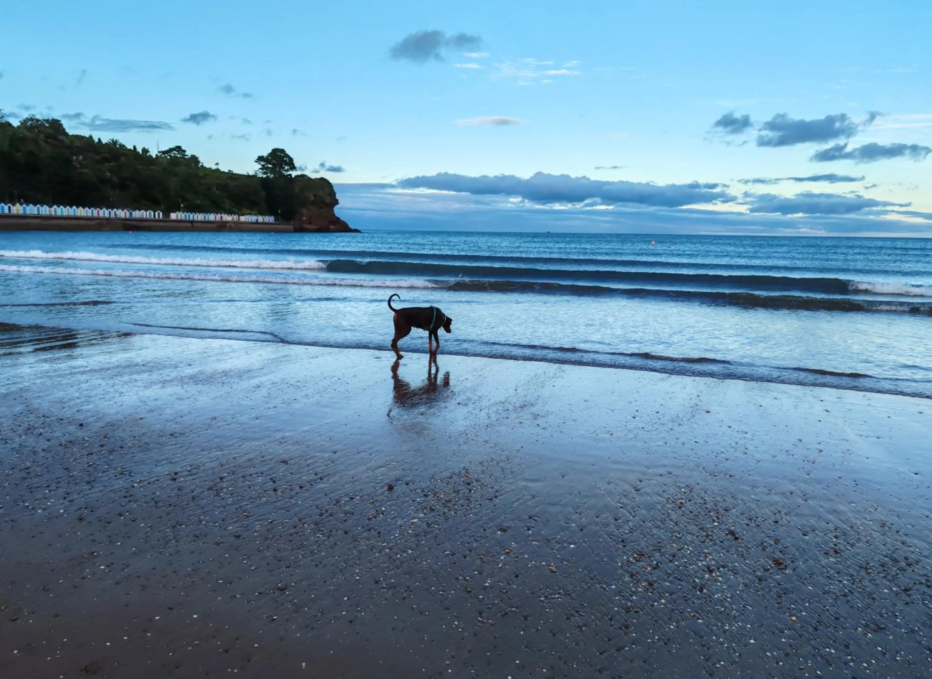 Beach in Torbay Court Hotel