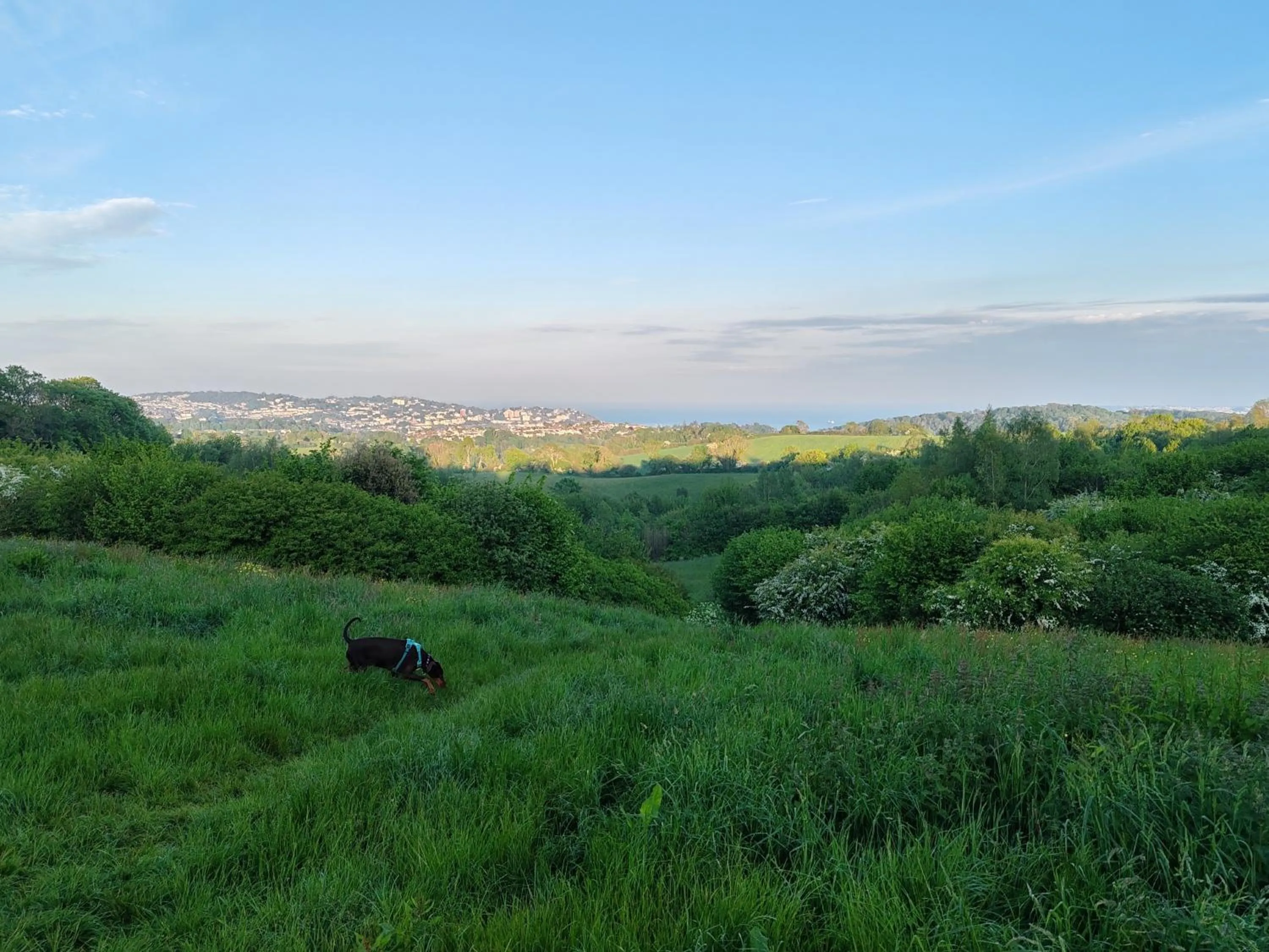 Nearby landmark in Torbay Court Hotel