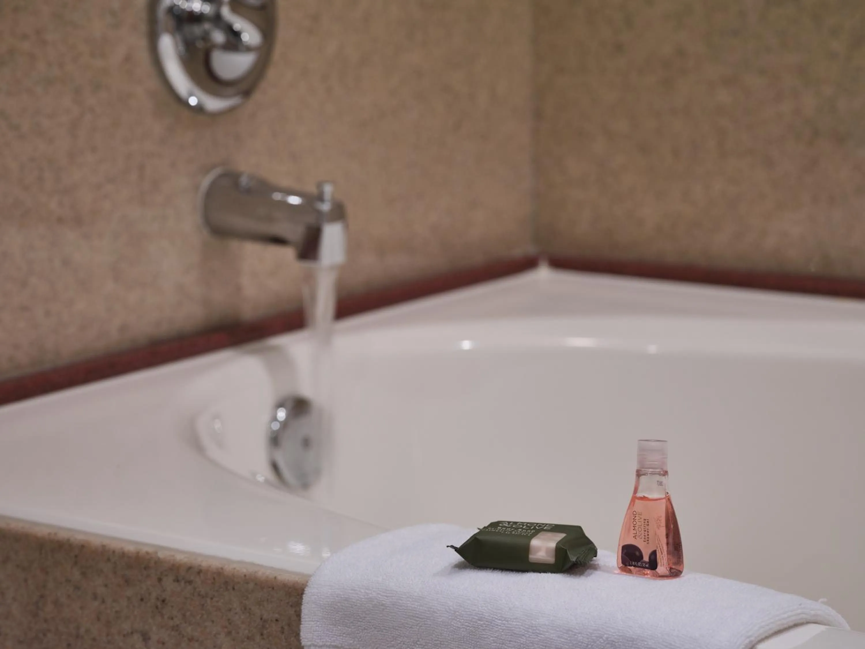 Zermatt Utah Resort & Spa Trademark Collection by Wyndham