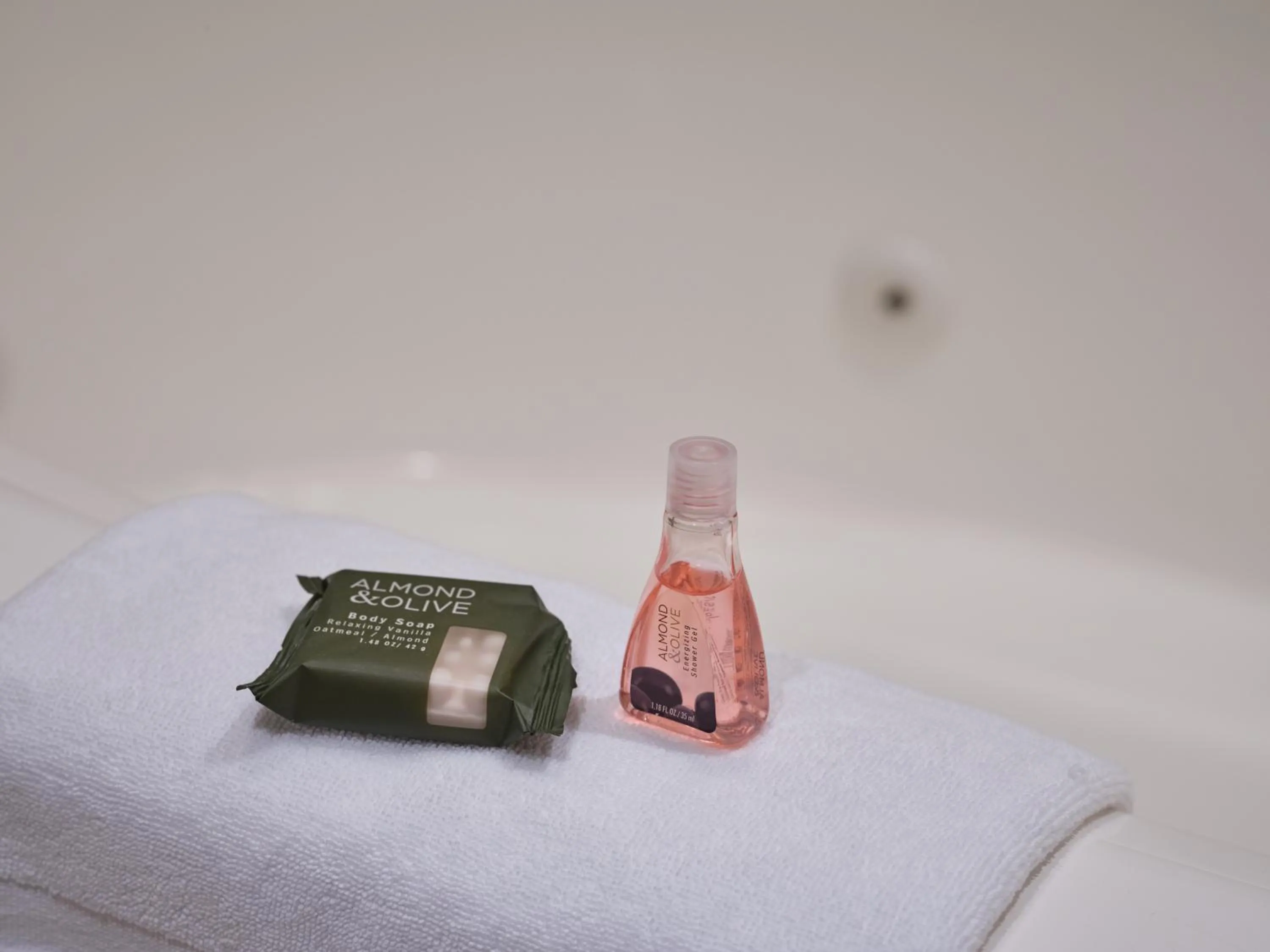 Zermatt Utah Resort & Spa Trademark Collection by Wyndham