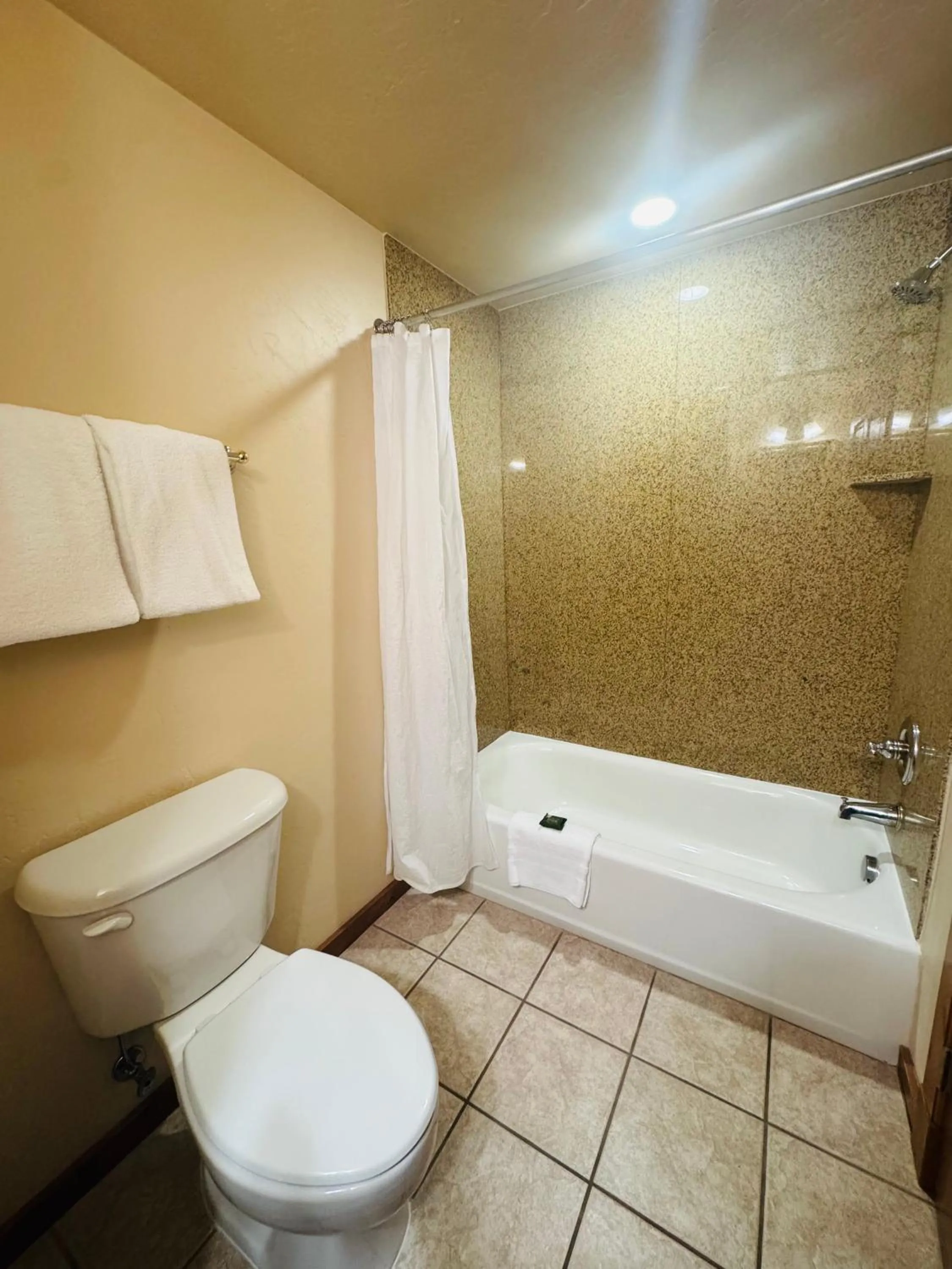 Bathroom in Zermatt Utah Resort & Spa Trademark Collection by Wyndham