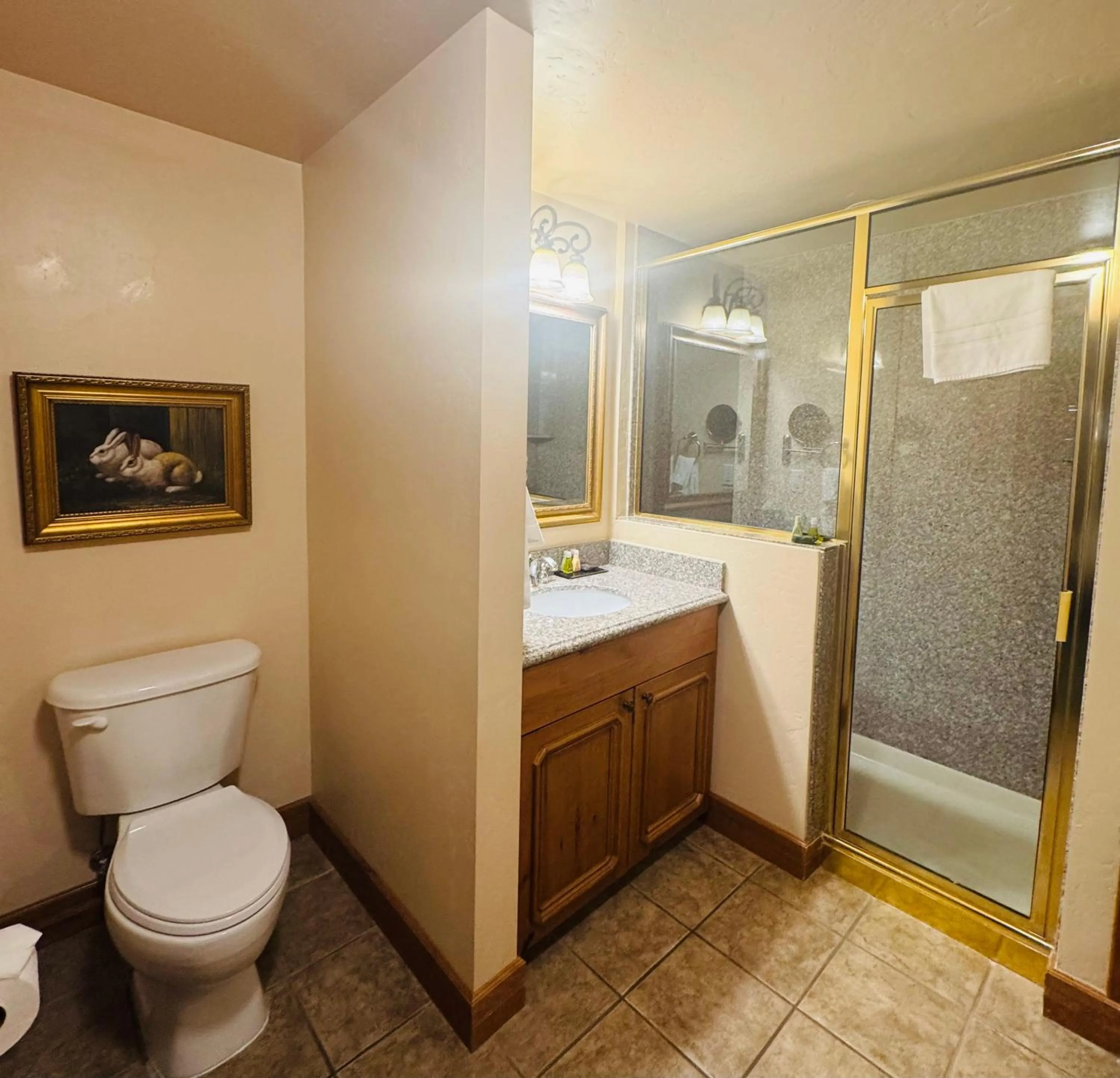 Bathroom in Zermatt Utah Resort & Spa Trademark Collection by Wyndham