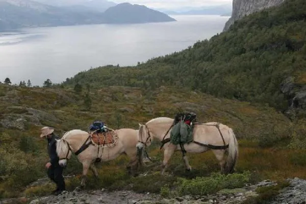 Horse-riding in Voss Lodge Rongastovo
