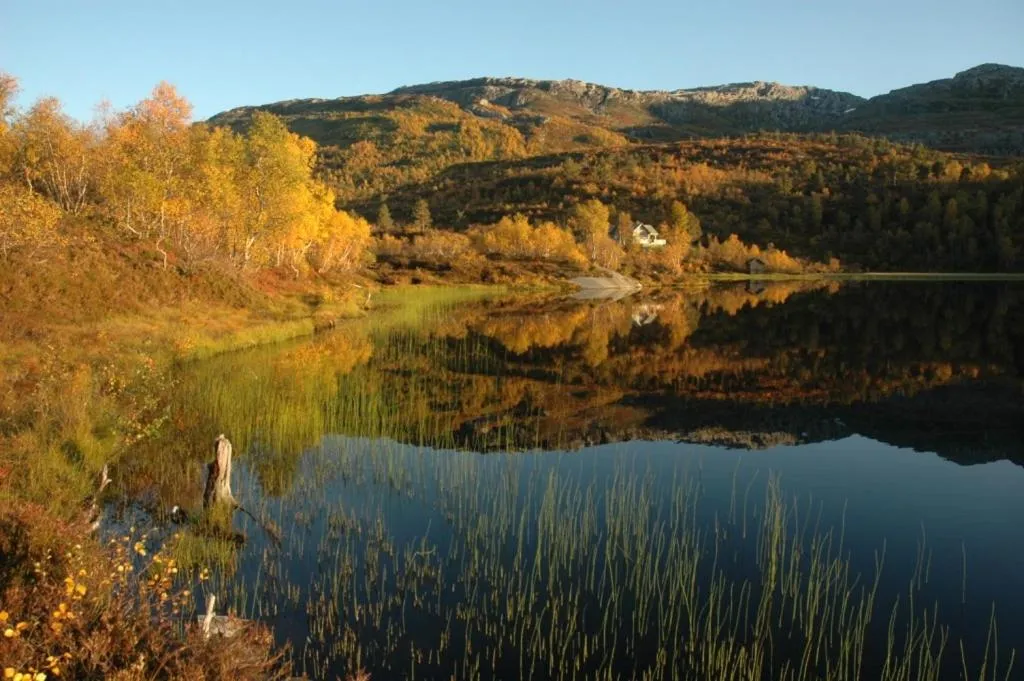 Fishing in Voss Lodge Rongastovo
