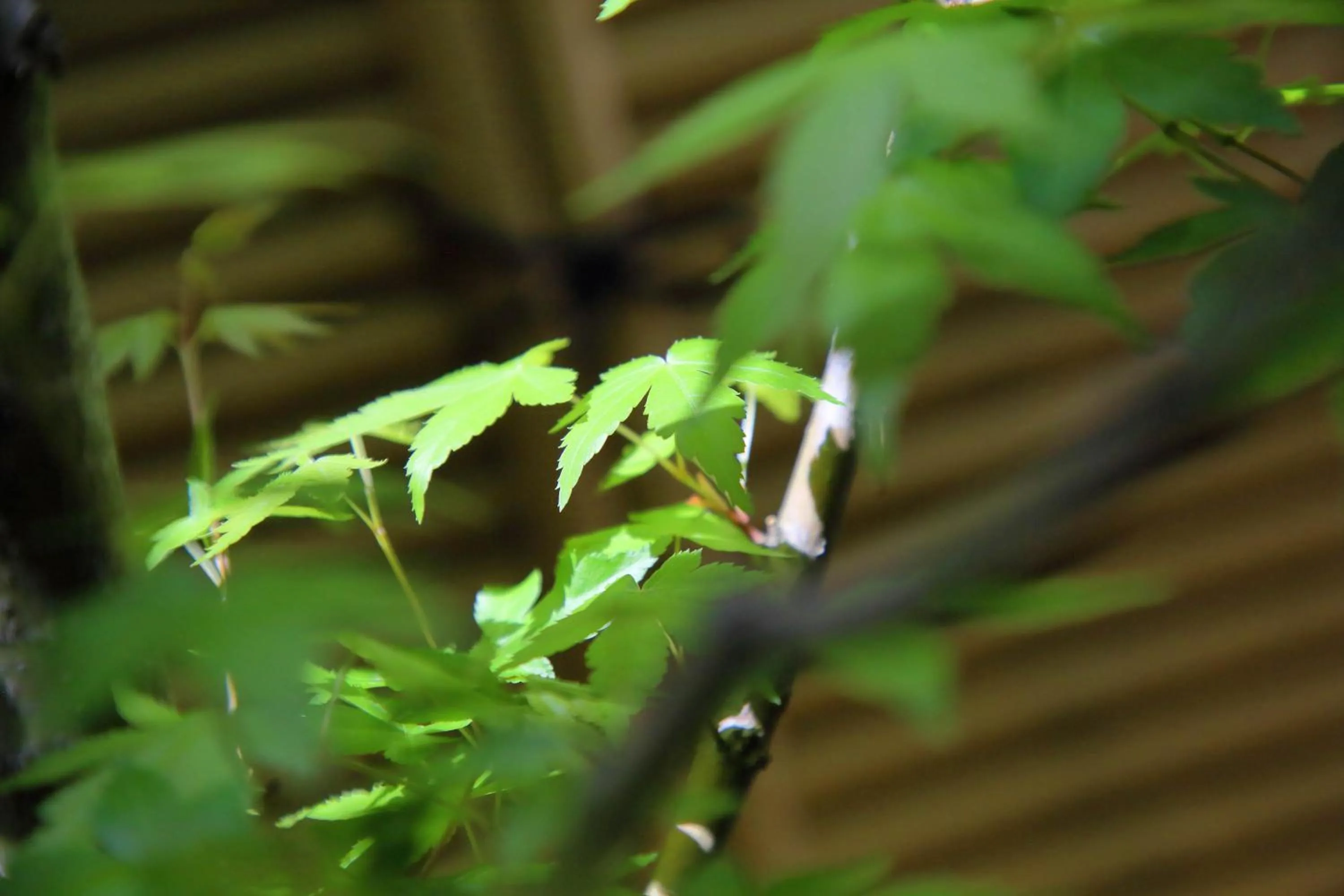 Kyo Machiya Ryokan Yuan