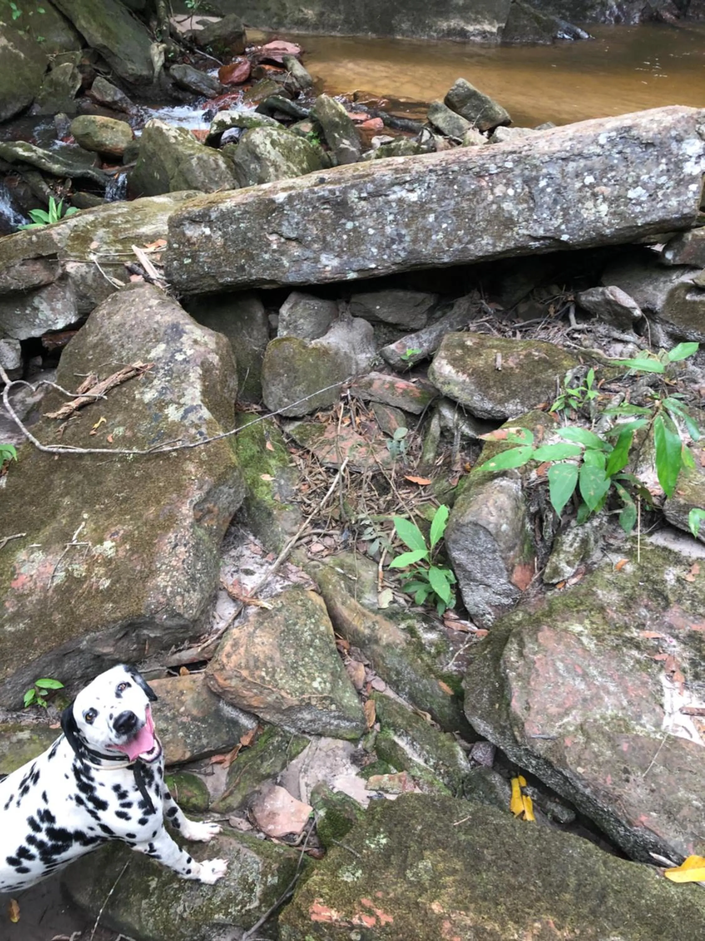 Pousada Jardim da Chapada