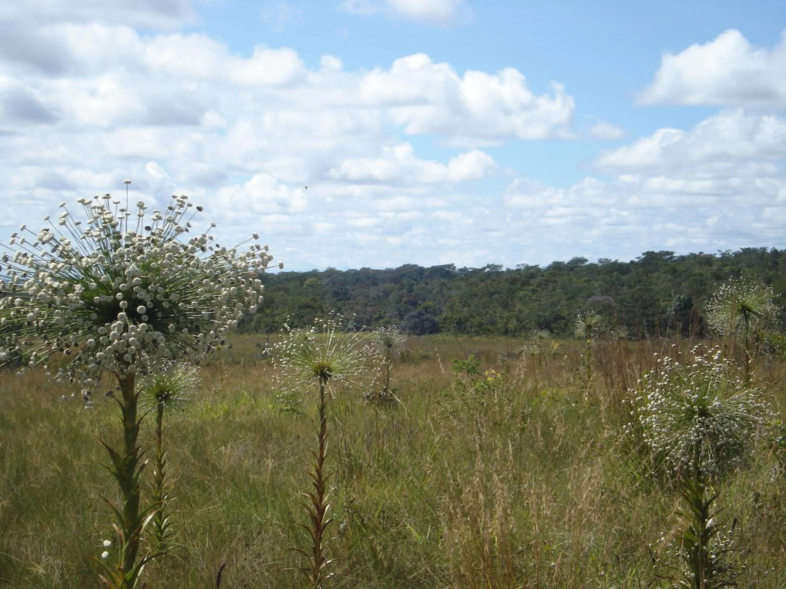 Pousada Jardim da Chapada