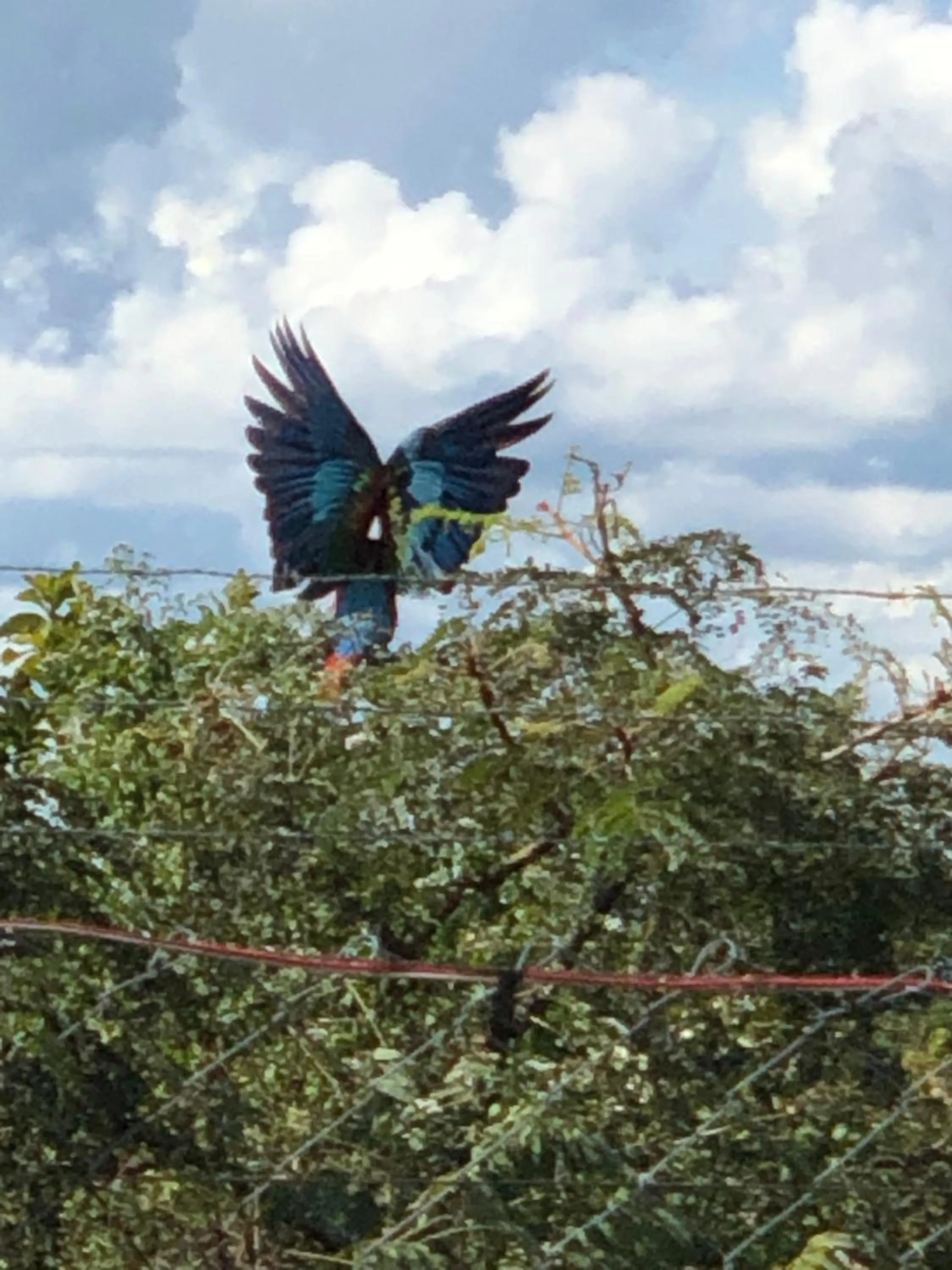 Pousada Jardim da Chapada