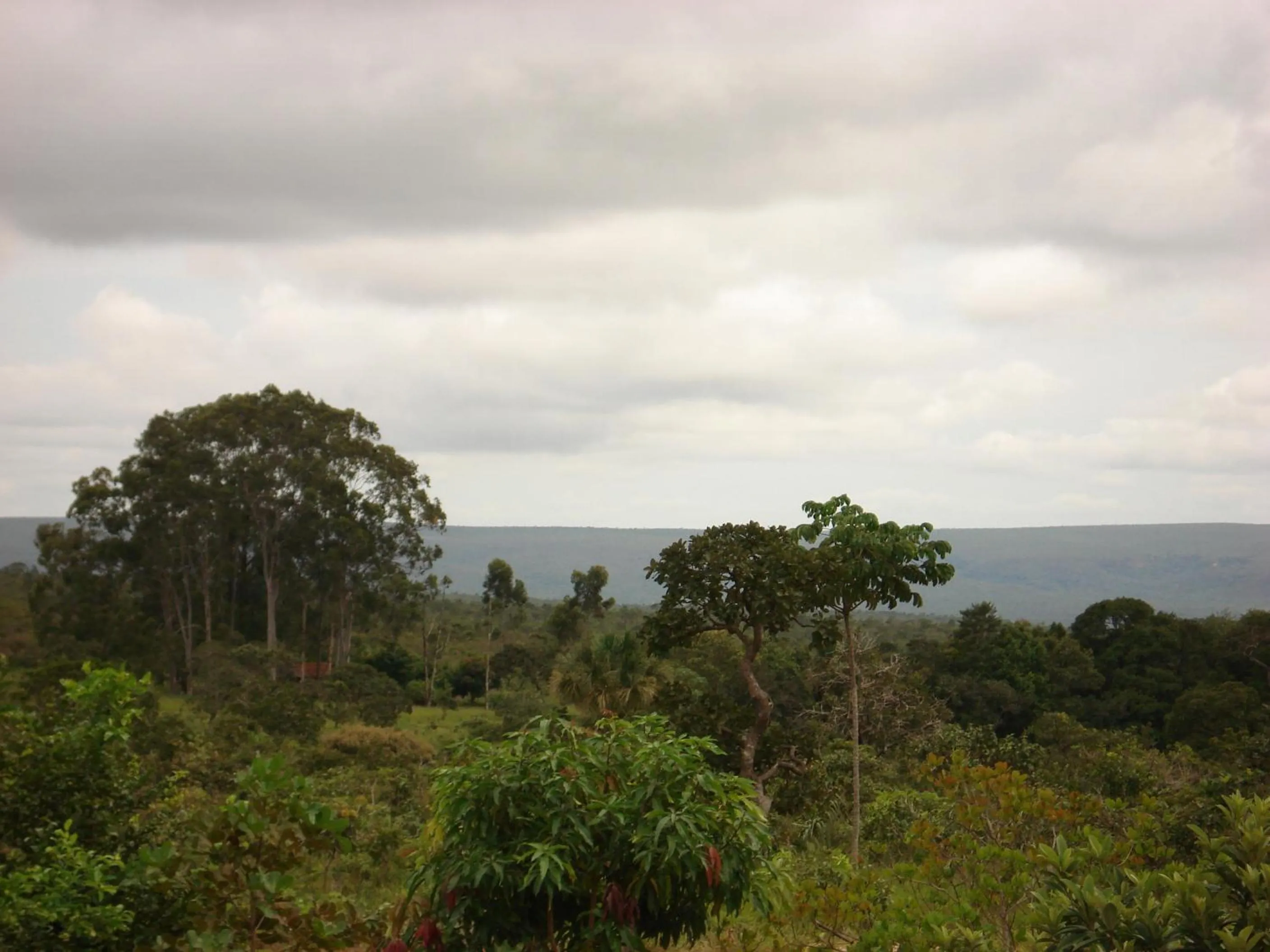 Pousada Jardim da Chapada