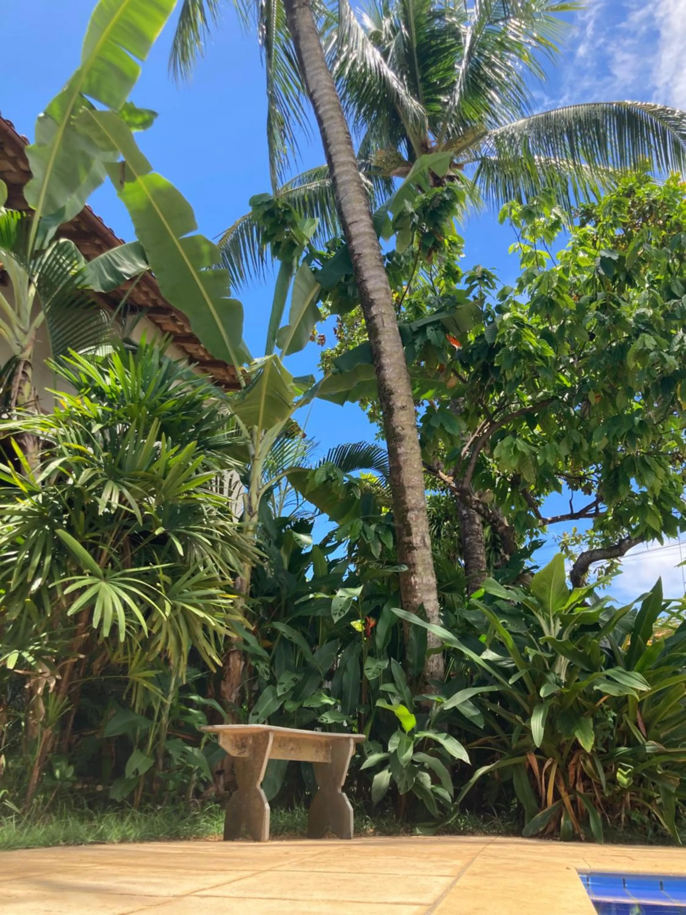 Garden in Pousada Coqueiro Verde