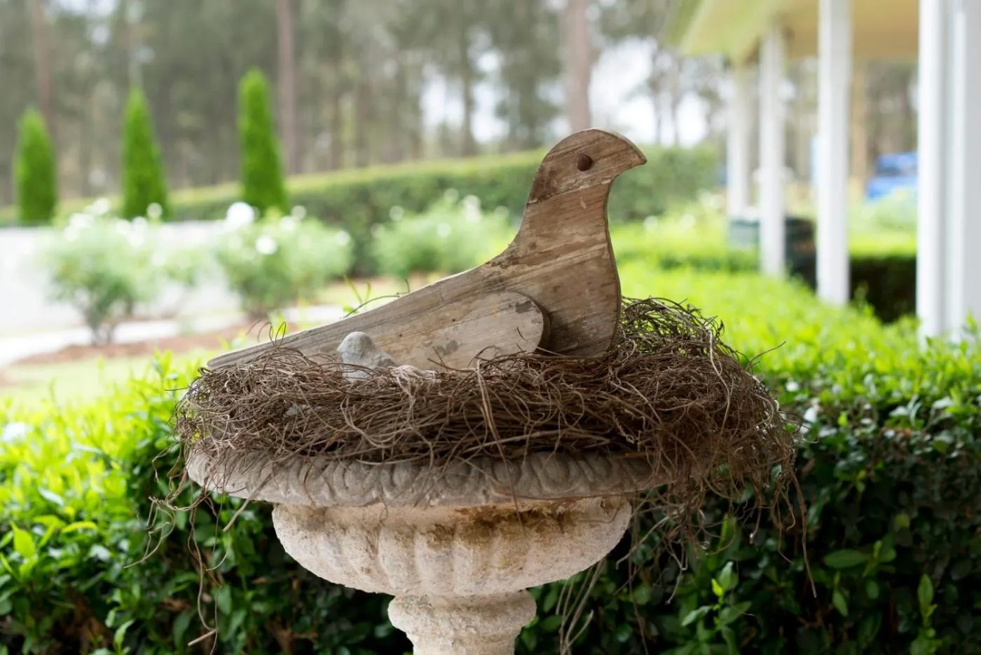 Thistle Hill Guesthouse - walk to many wineries and restaurants