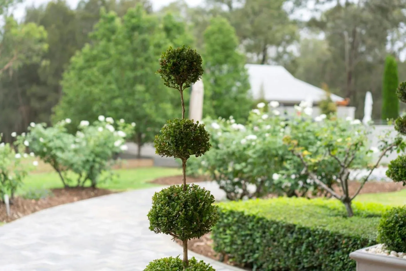 Thistle Hill Guesthouse - walk to many wineries and restaurants