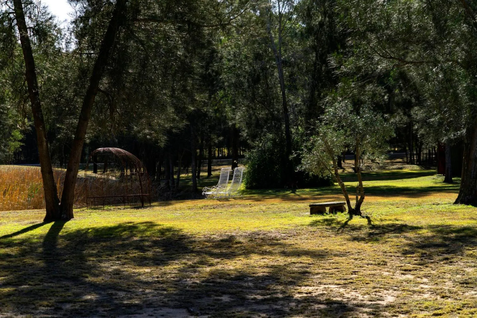 Thistle Hill Guesthouse - walk to many wineries and restaurants