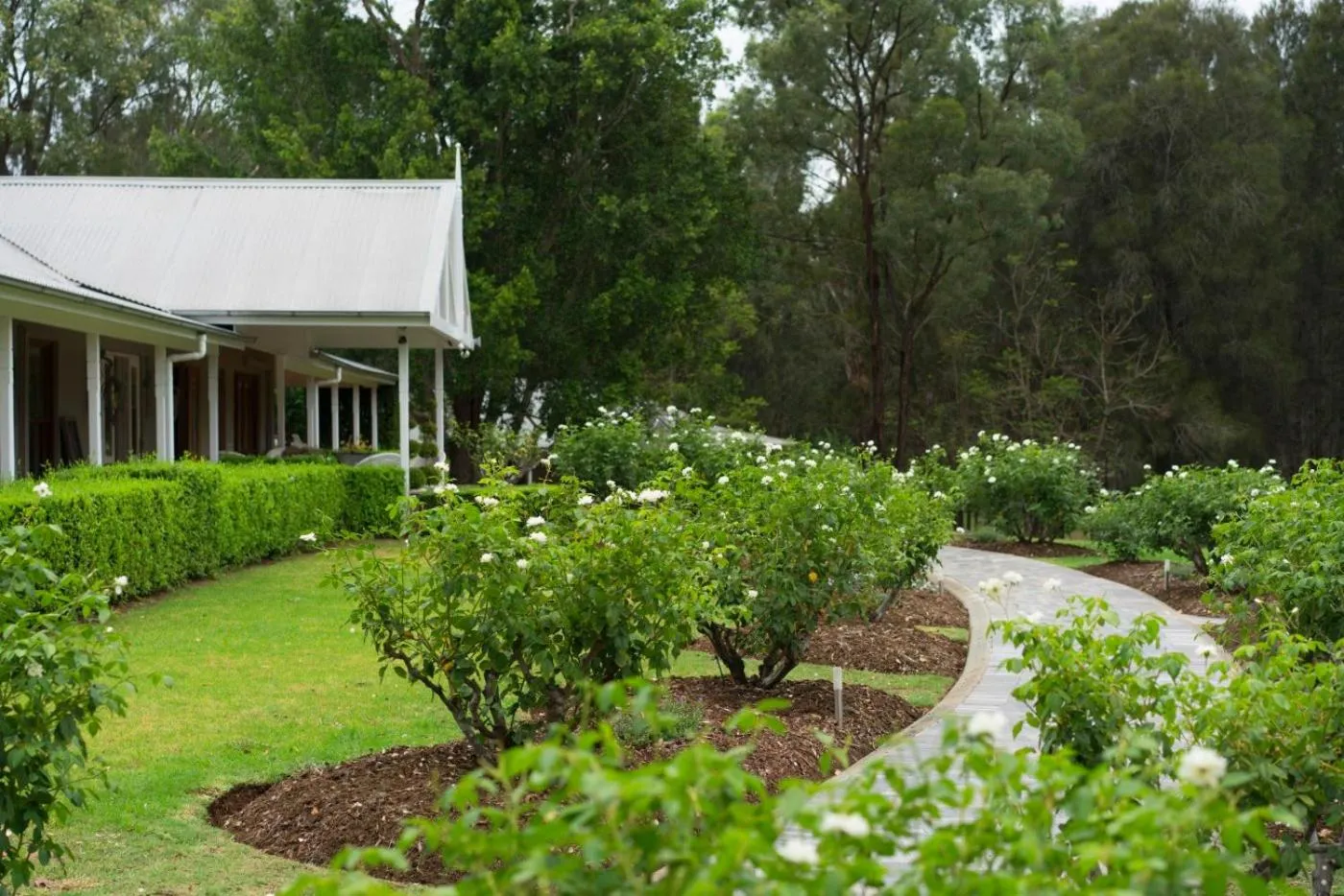 Garden in Thistle Hill Guesthouse - walk to many wineries and restaurants