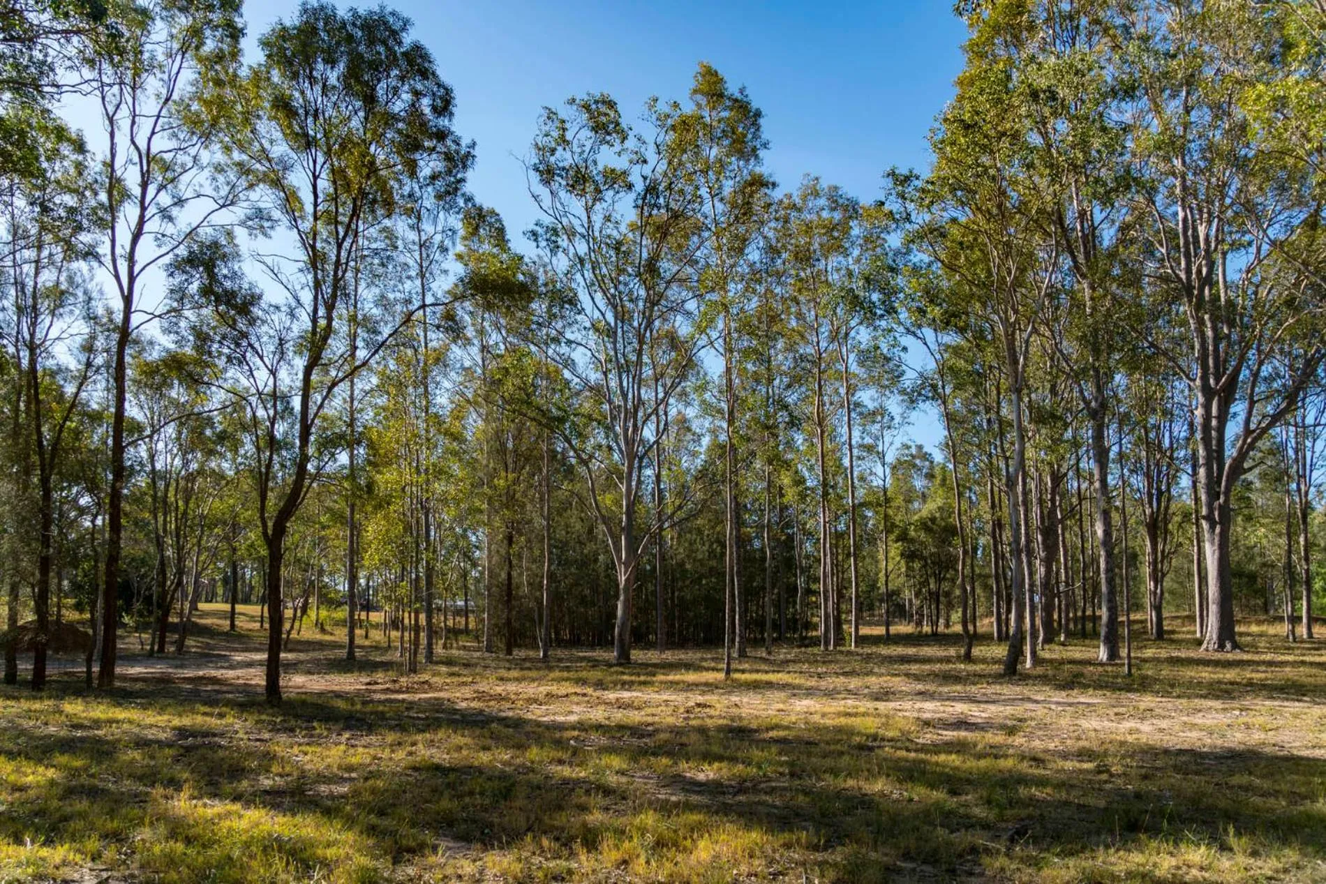 Thistle Hill Guesthouse - walk to many wineries and restaurants