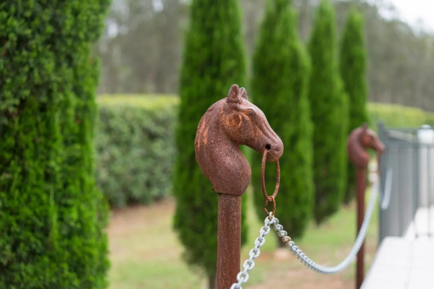 Thistle Hill Guesthouse - walk to many wineries and restaurants