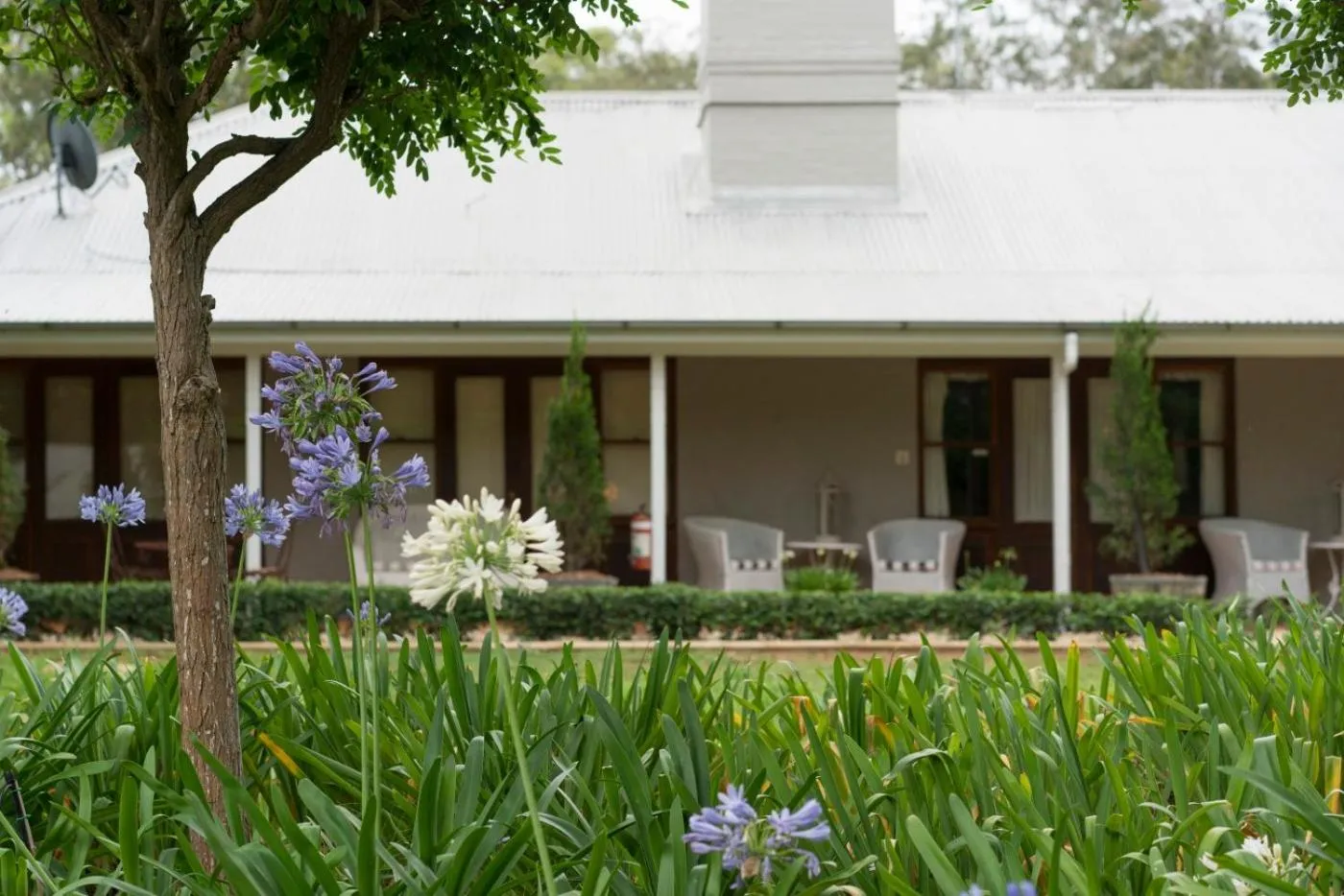 Garden view in Thistle Hill Guesthouse - walk to many wineries and restaurants